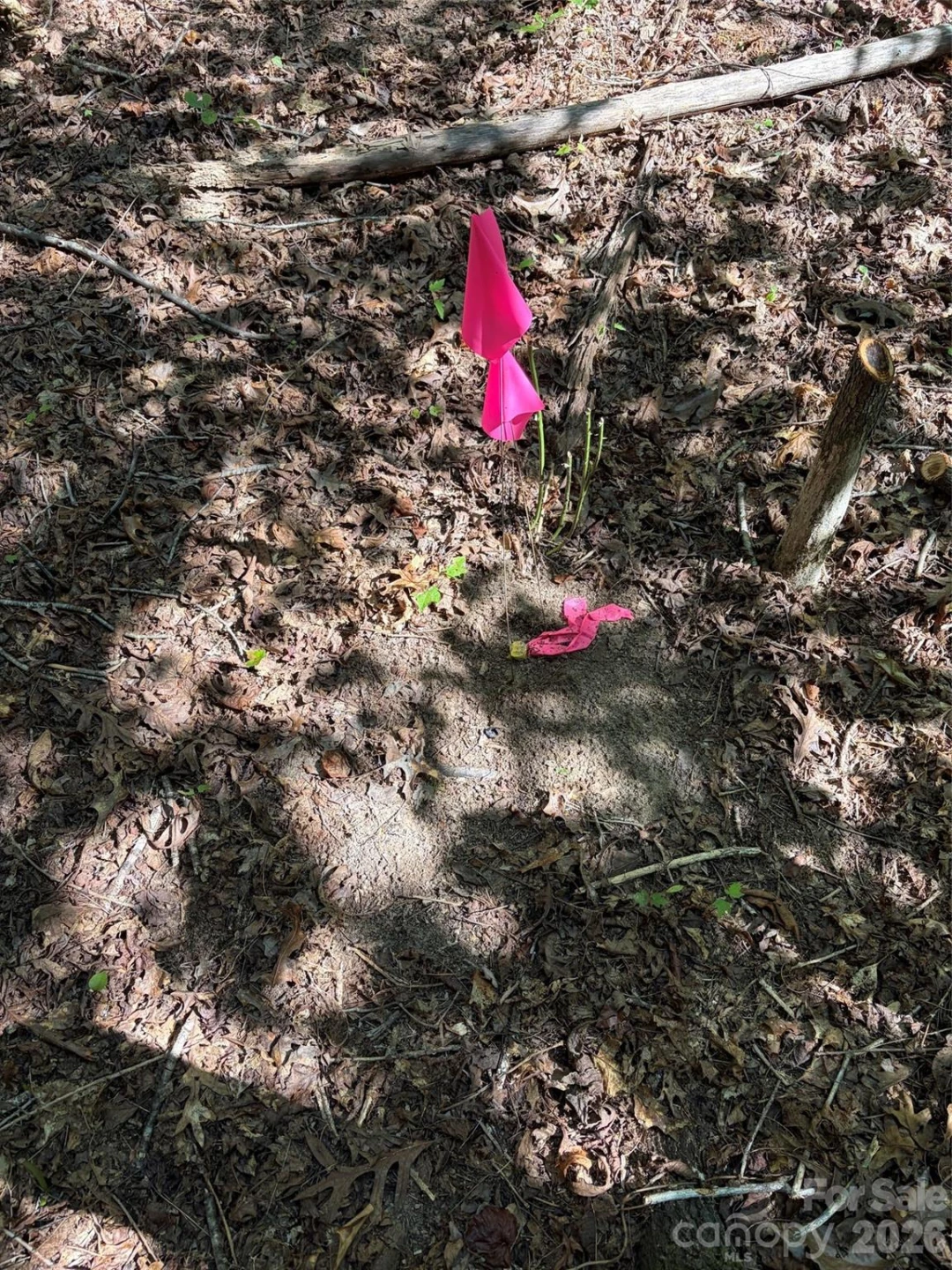 476 Southern Way - Photo 9