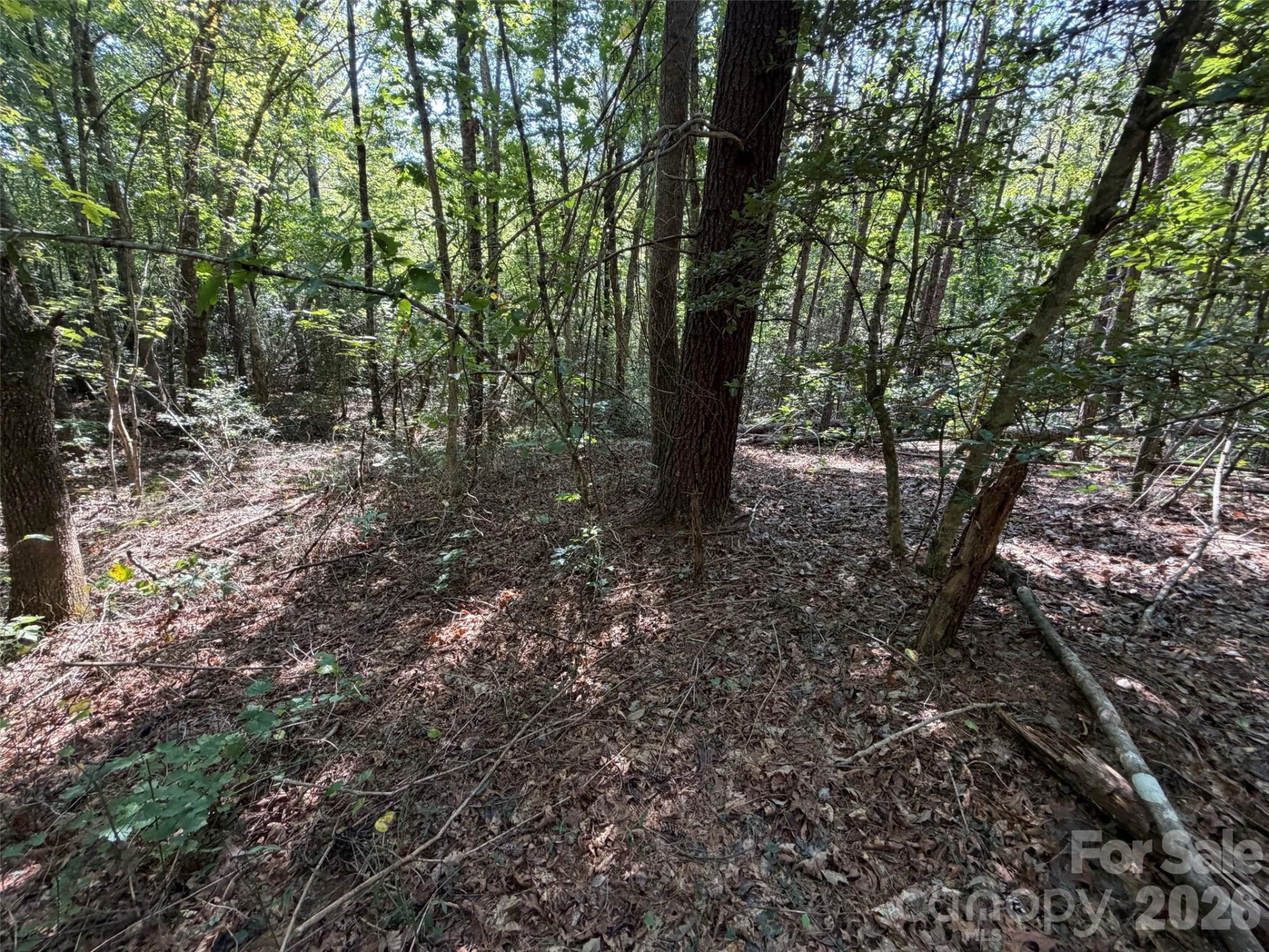 476 Southern Way - Photo 10