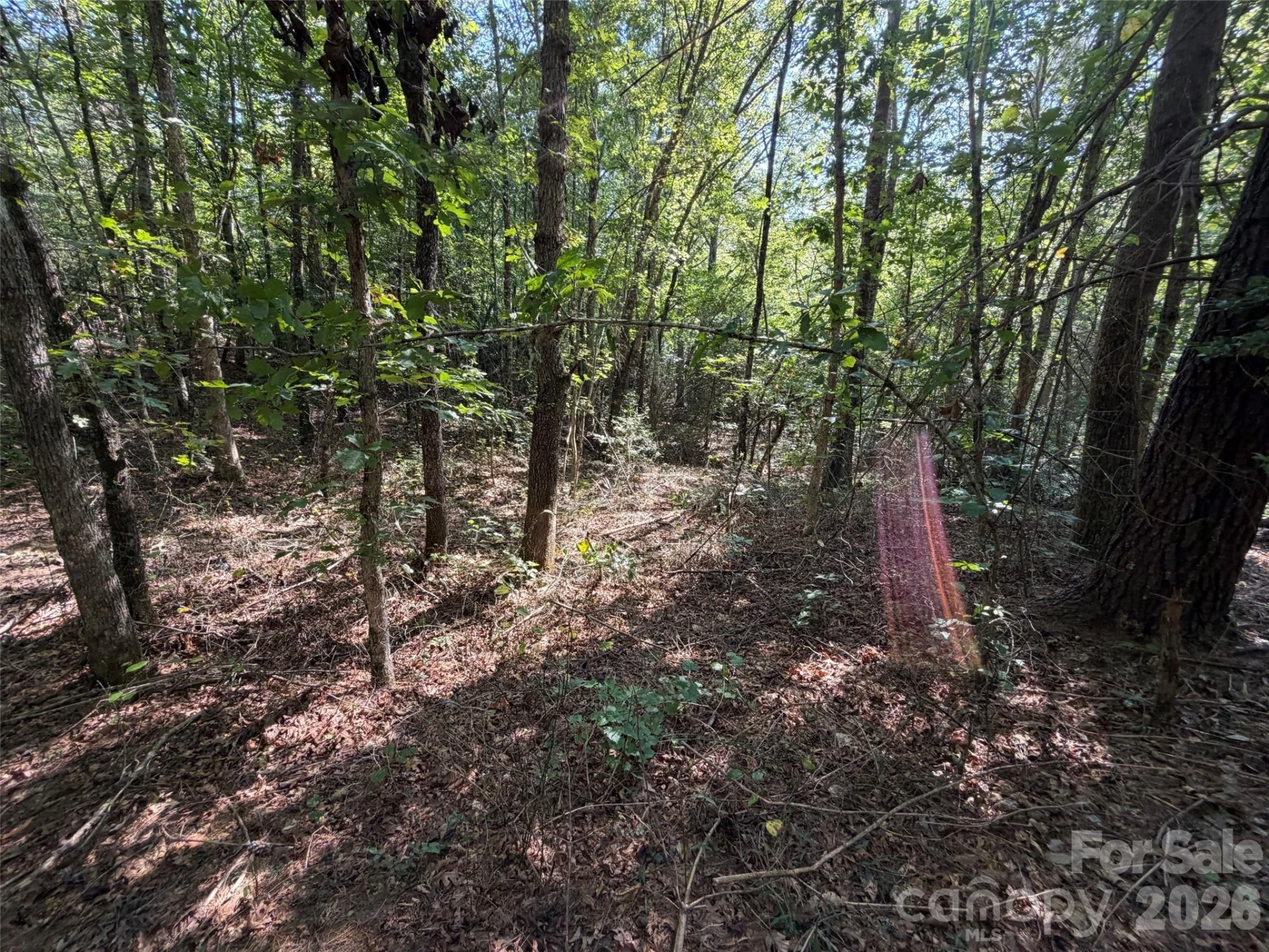 476 Southern Way - Photo 11