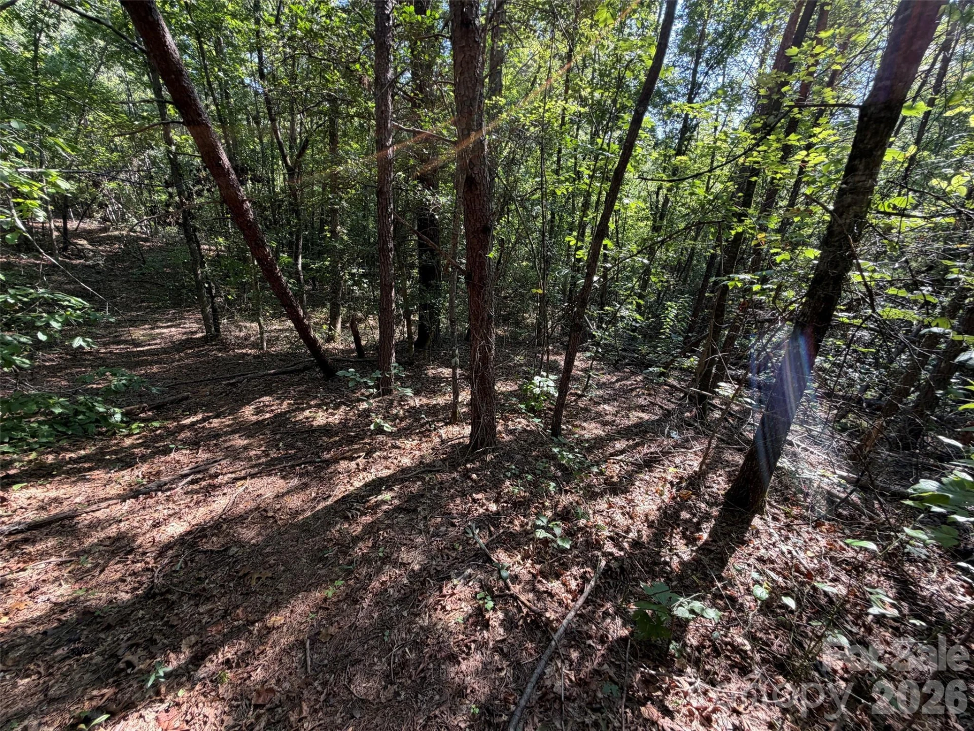 476 Southern Way - Photo 12