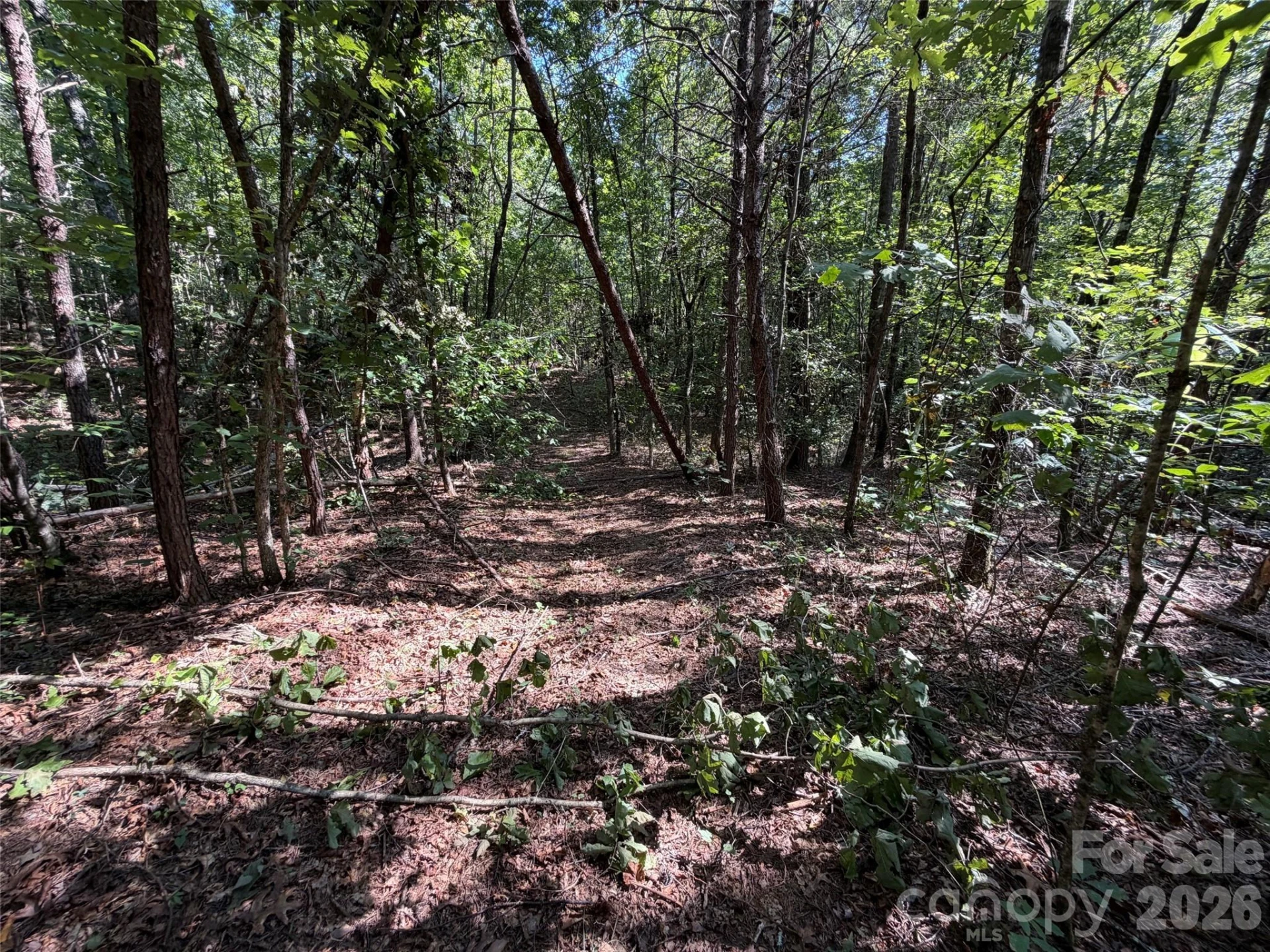 476 Southern Way - Photo 13