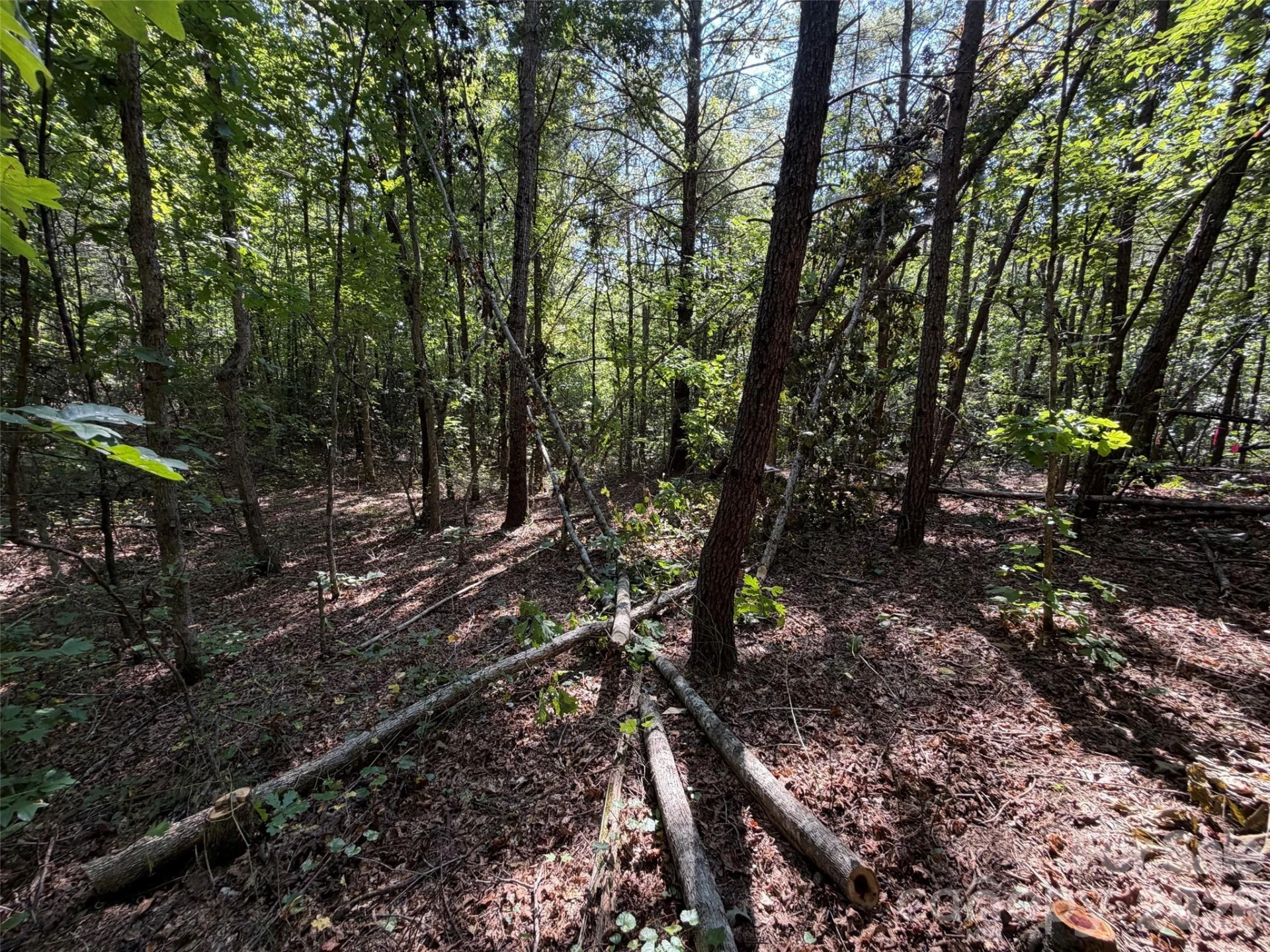 476 Southern Way - Photo 14