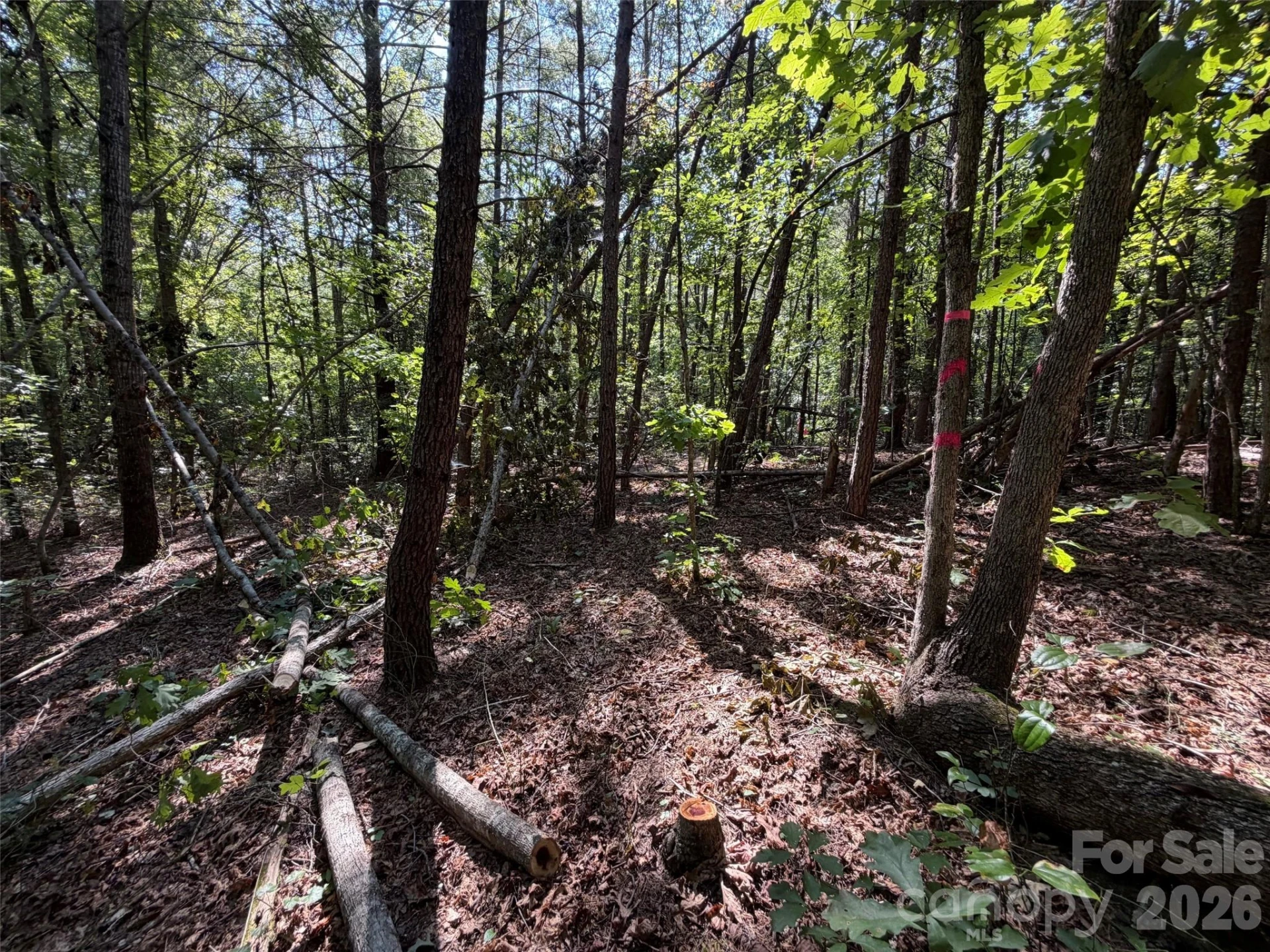 476 Southern Way - Photo 15