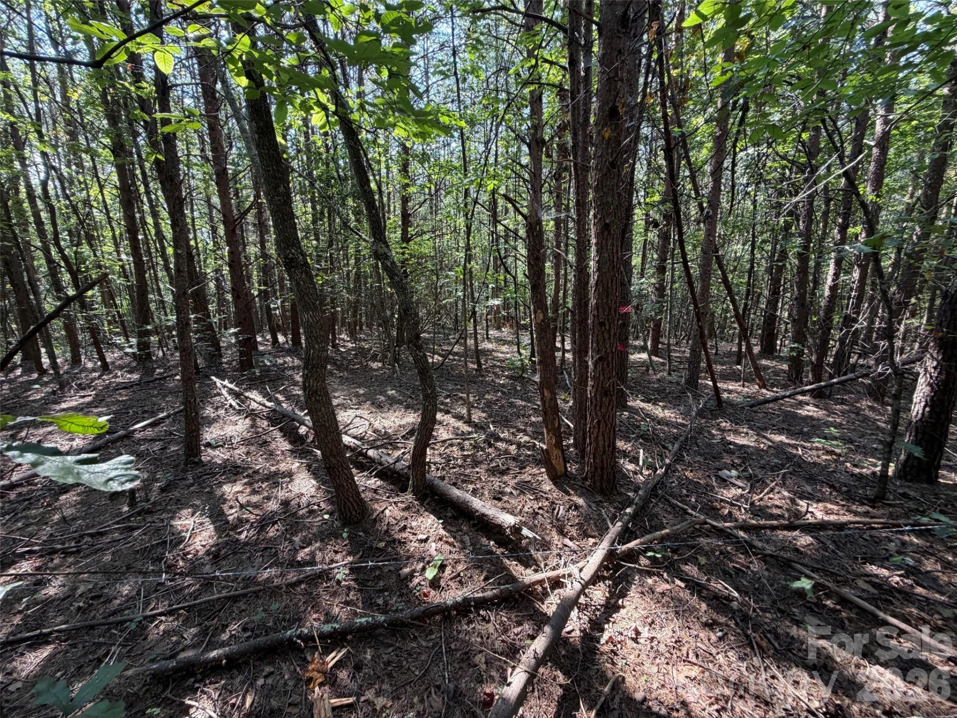 472 Southern Way - Photo 2