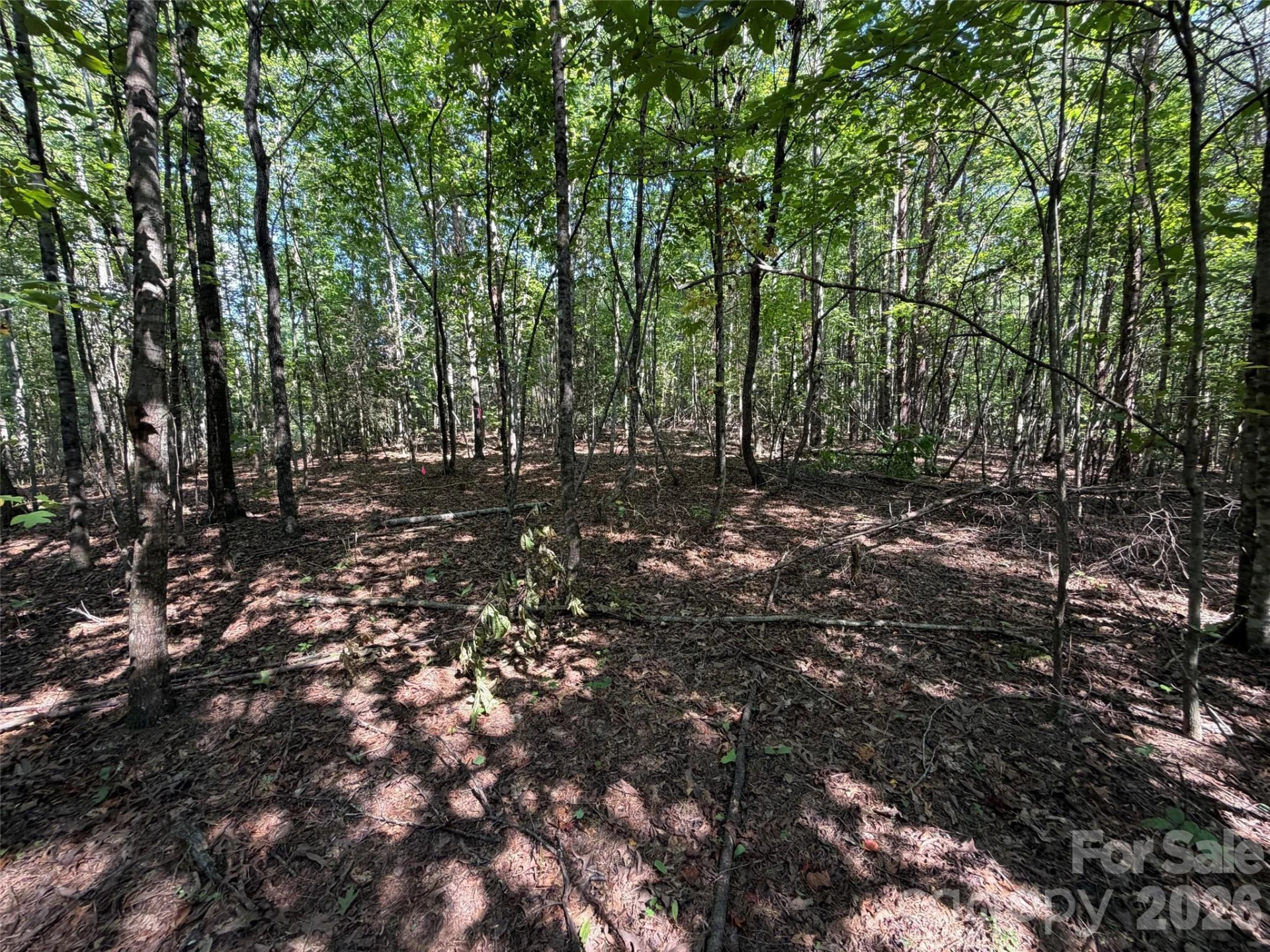 472 Southern Way - Photo 3
