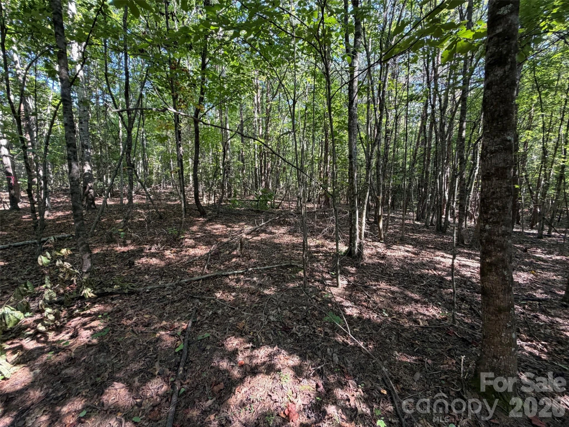 472 Southern Way - Photo 4