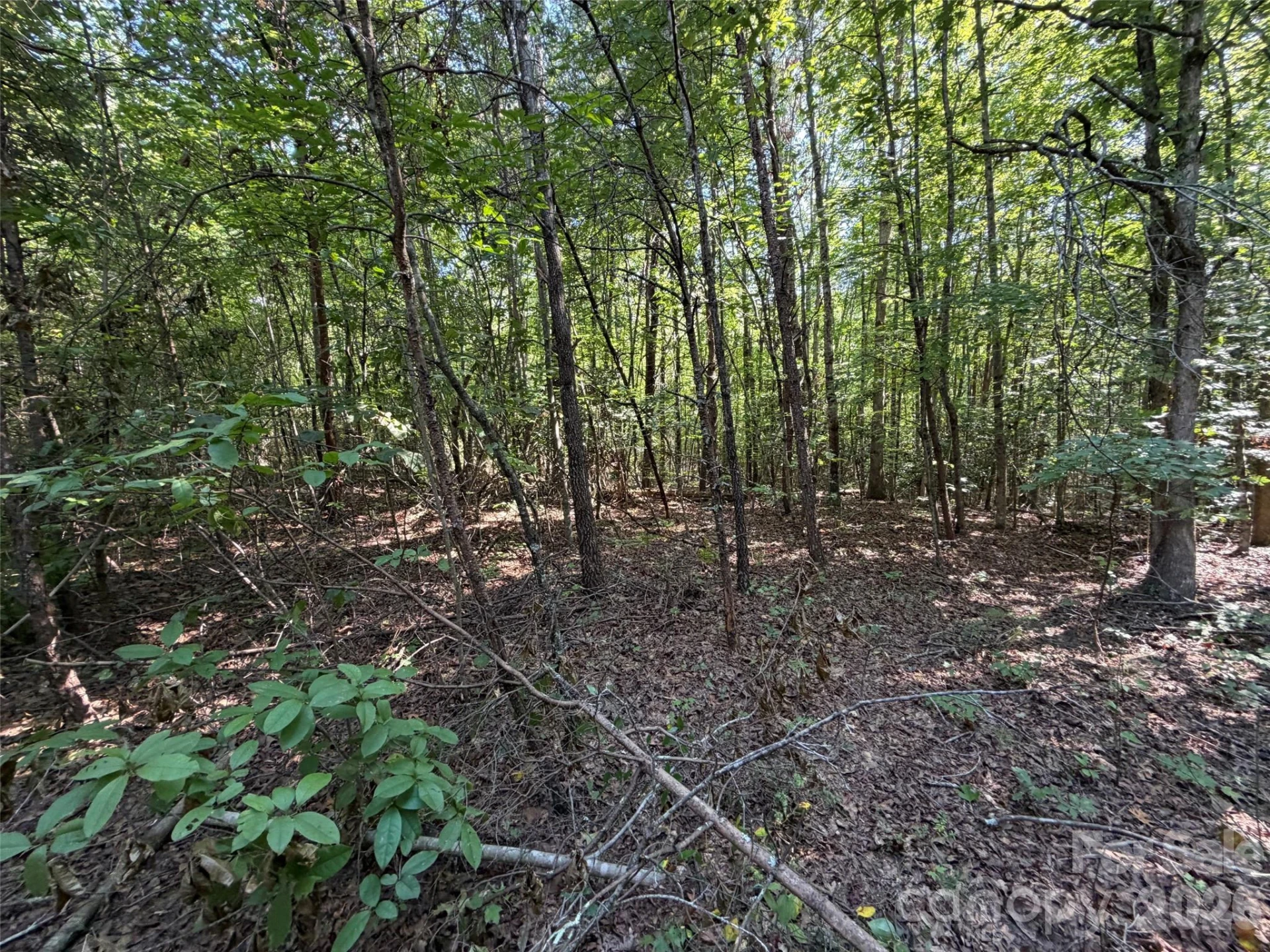 472 Southern Way - Photo 5