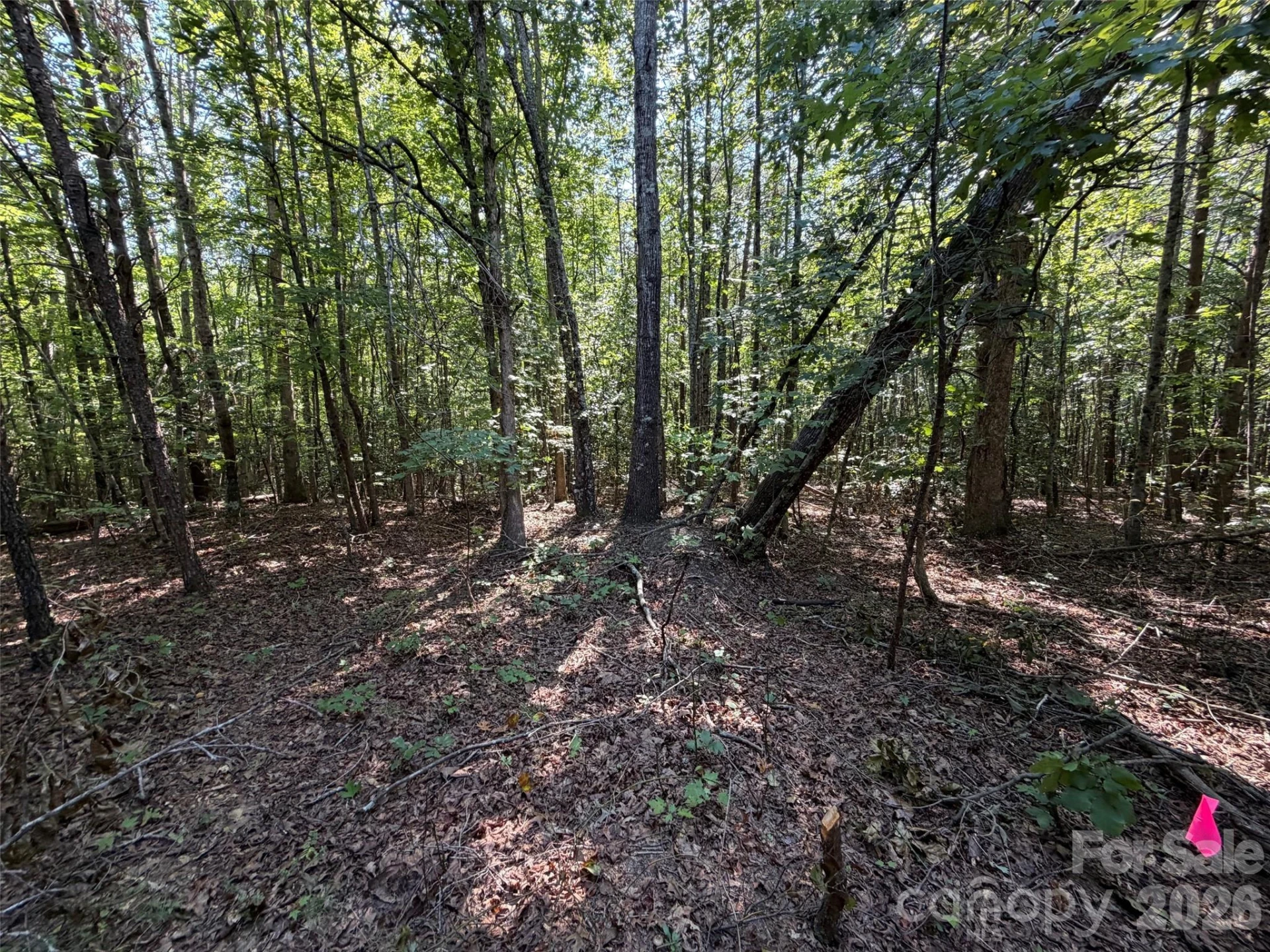 472 Southern Way - Photo 7