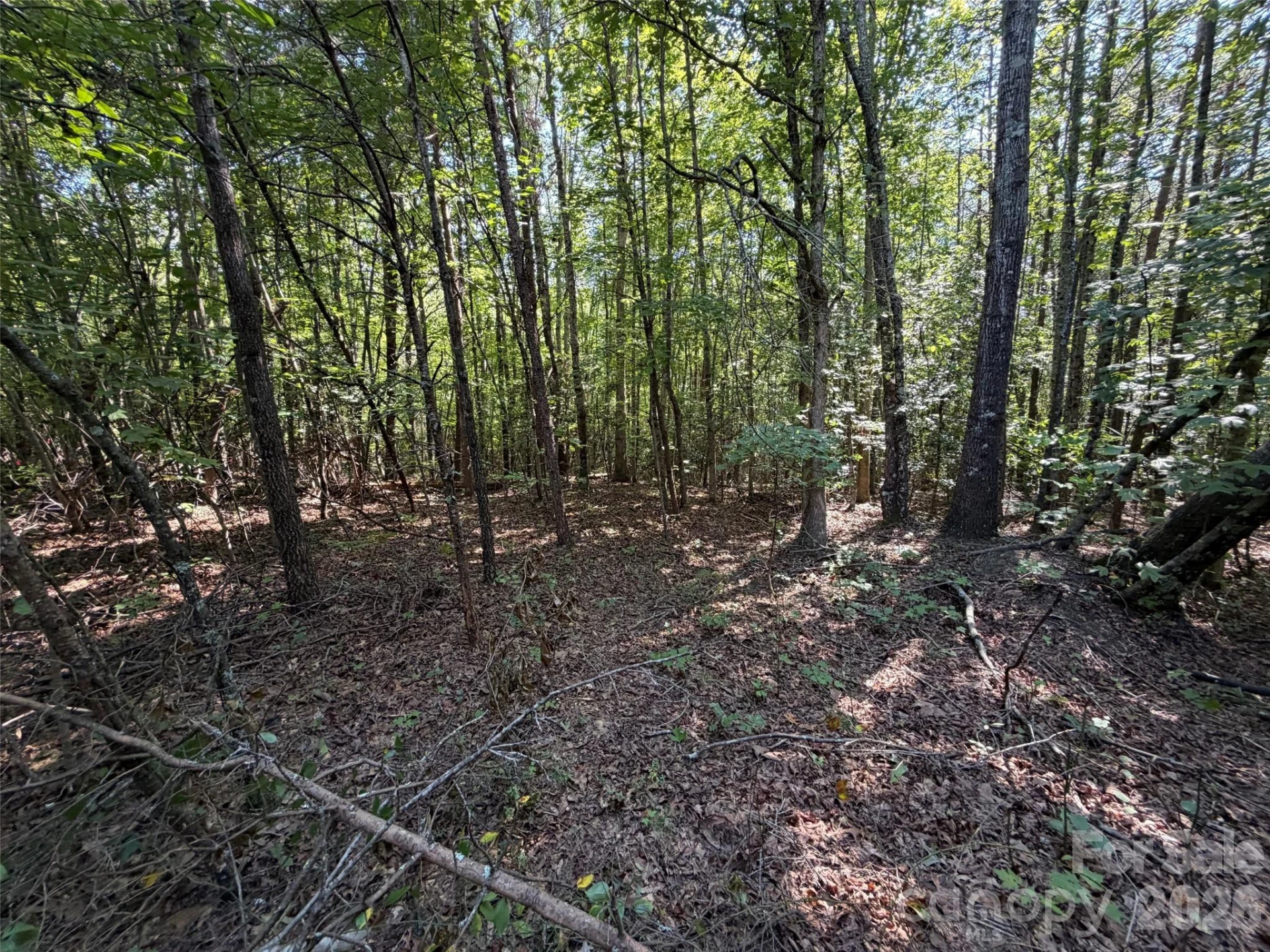 472 Southern Way - Photo 8