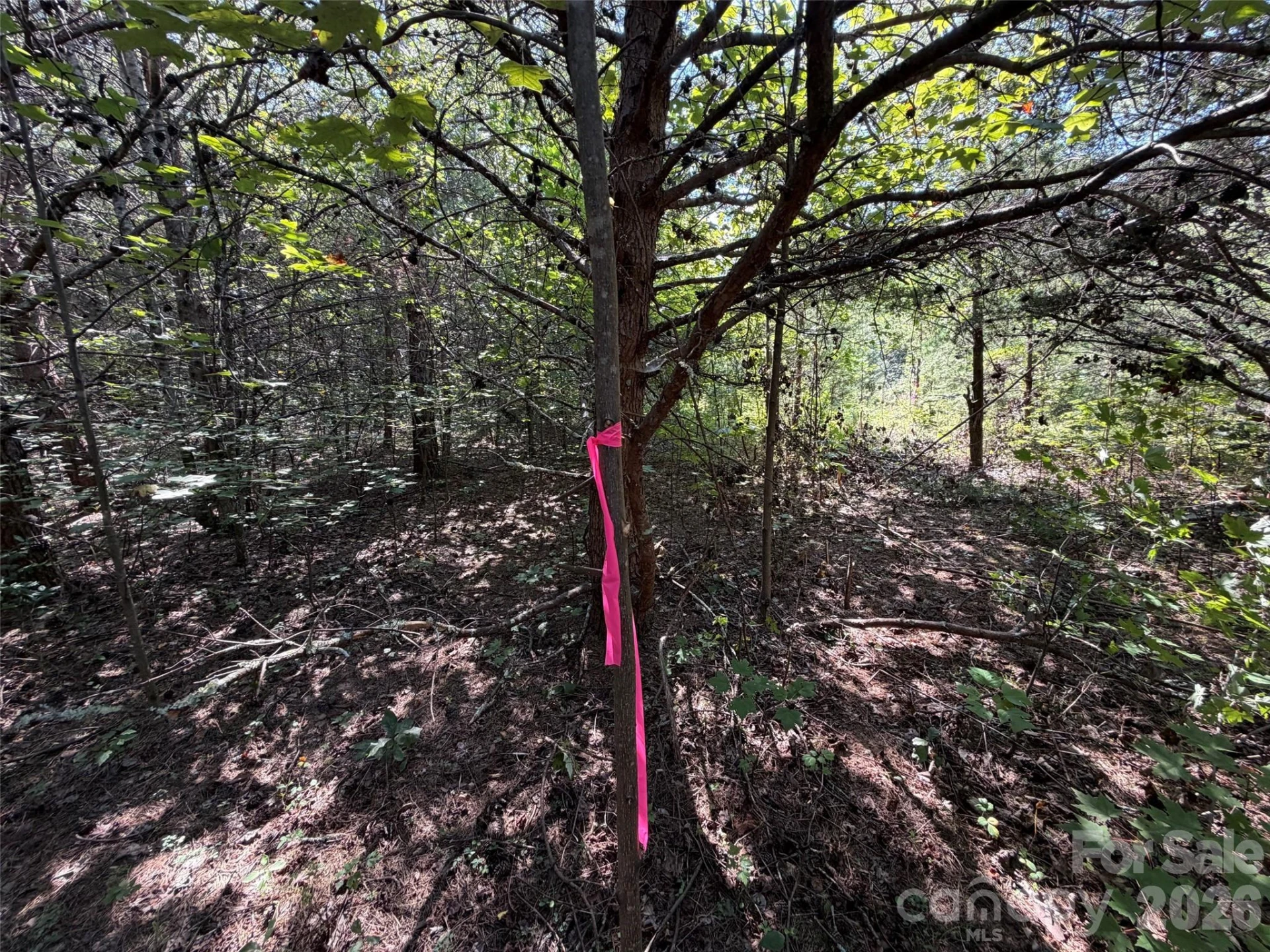 468 Southern Way - Photo 2