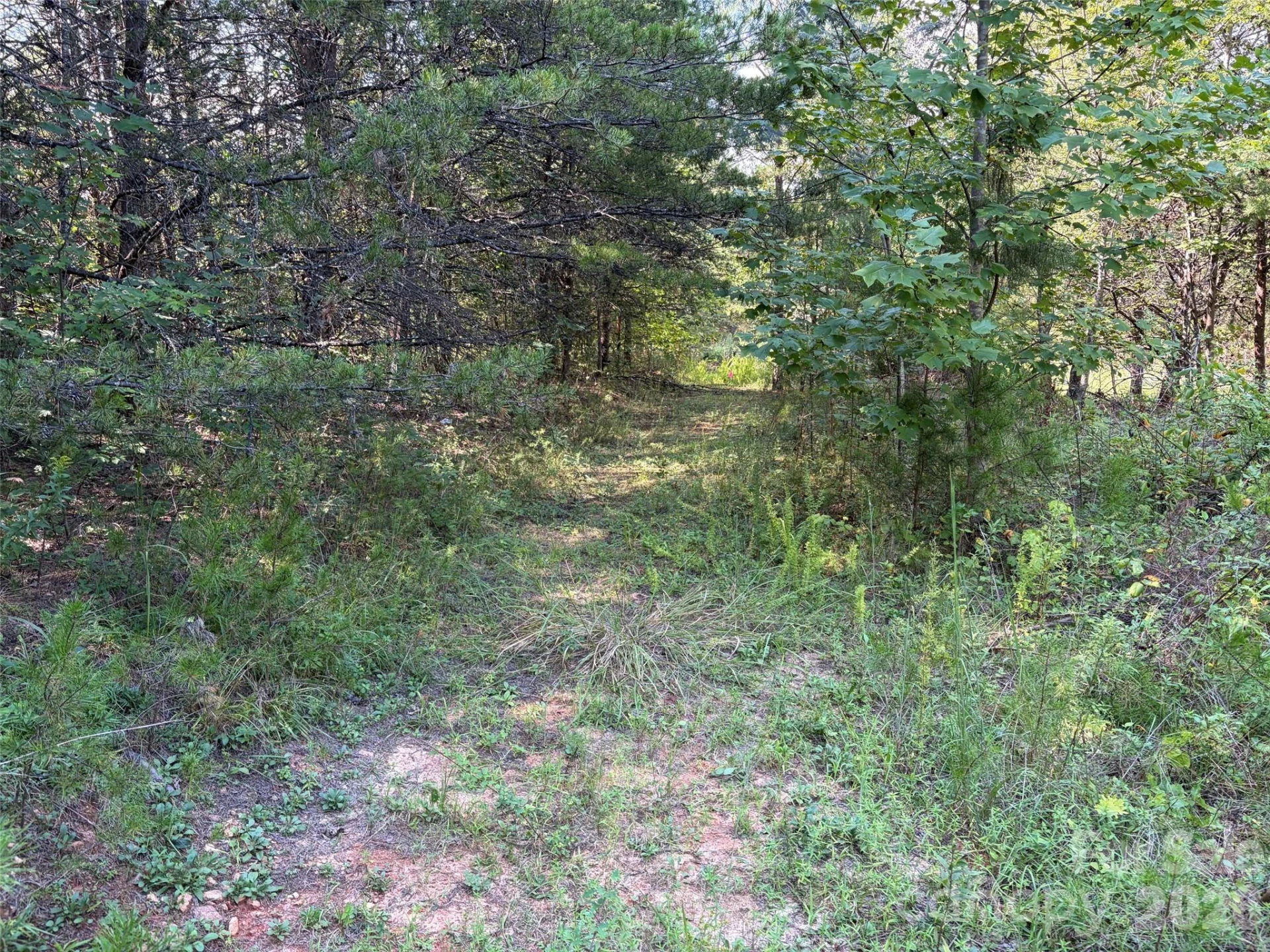 468 Southern Way - Photo 3