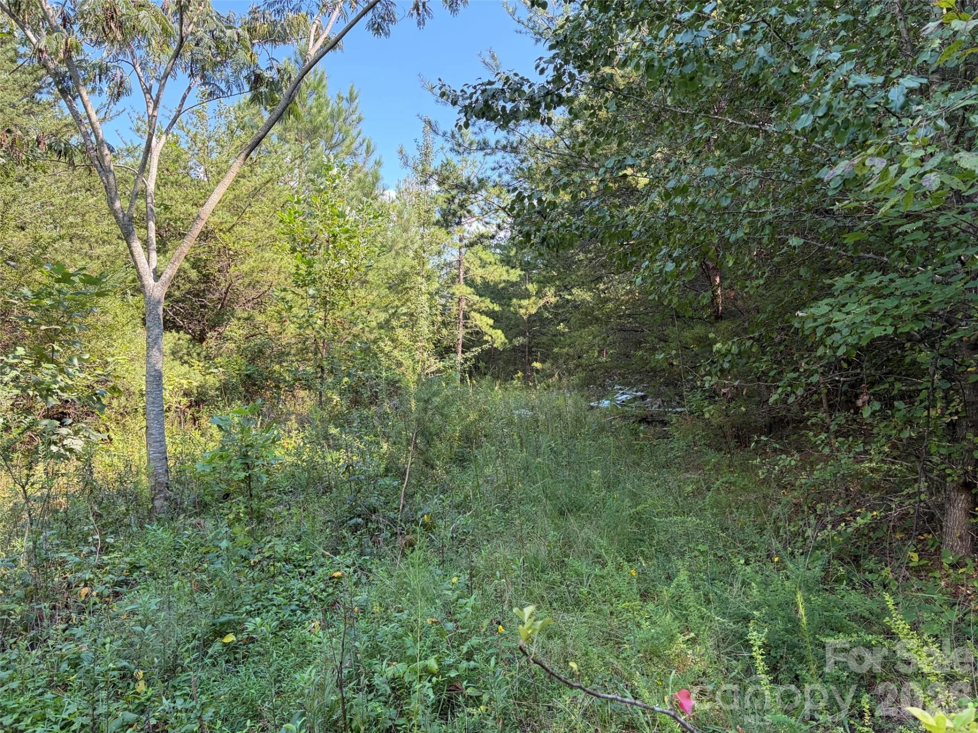 468 Southern Way - Photo 4