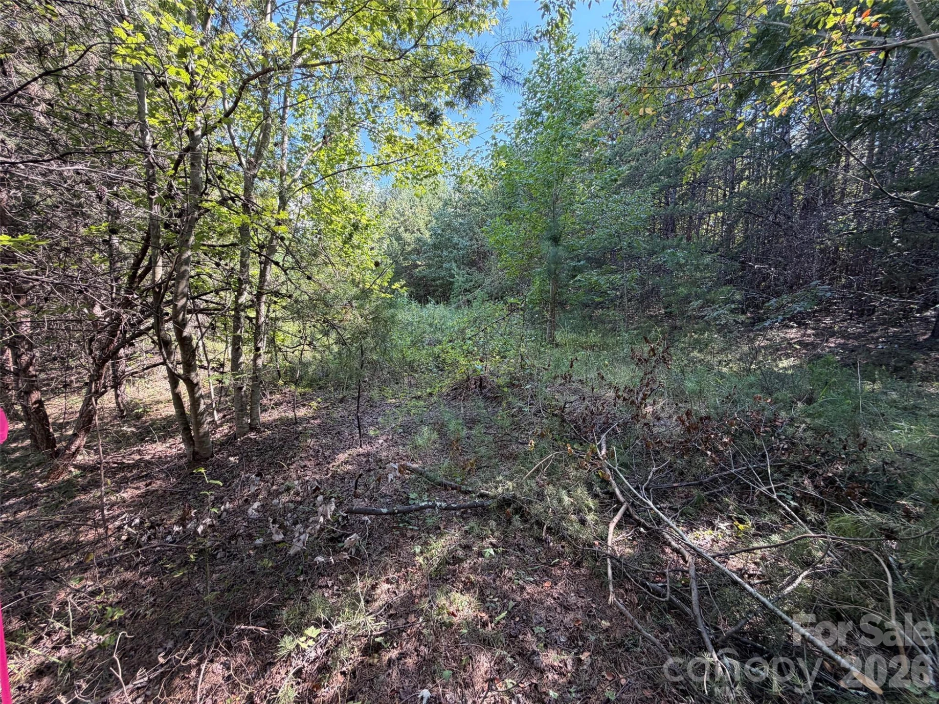 468 Southern Way - Photo 5