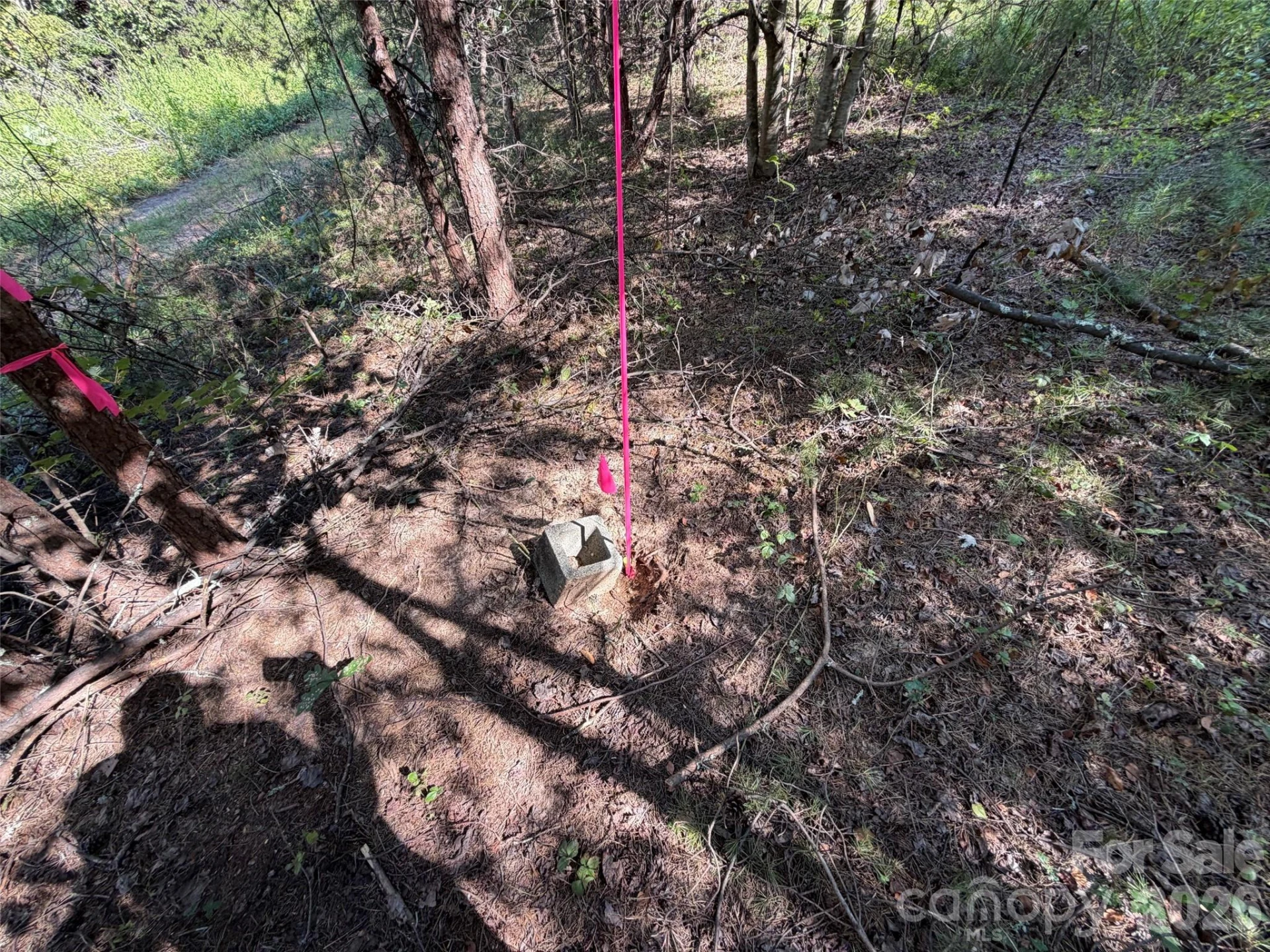 468 Southern Way - Photo 6