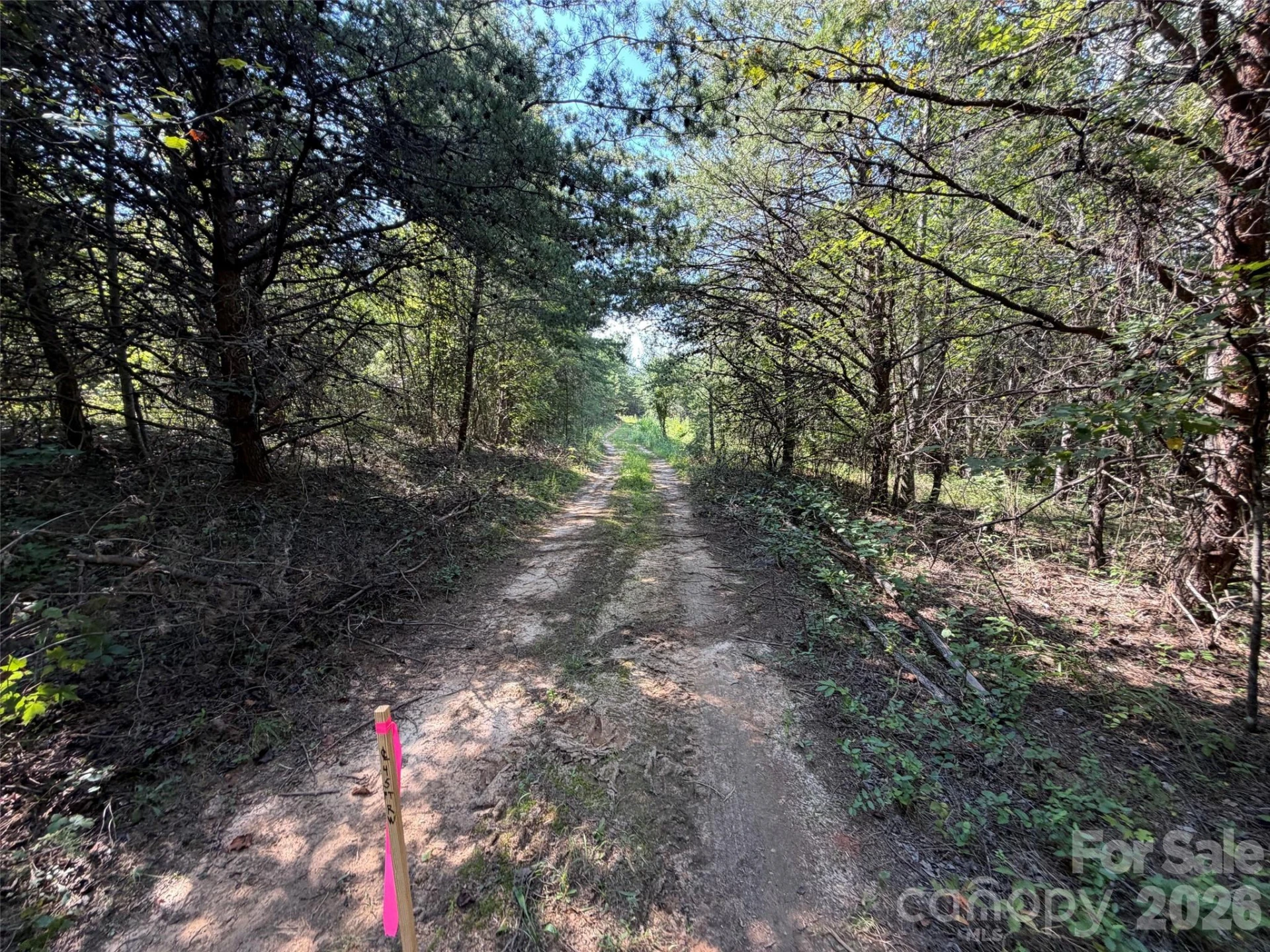 468 Southern Way - Photo 8