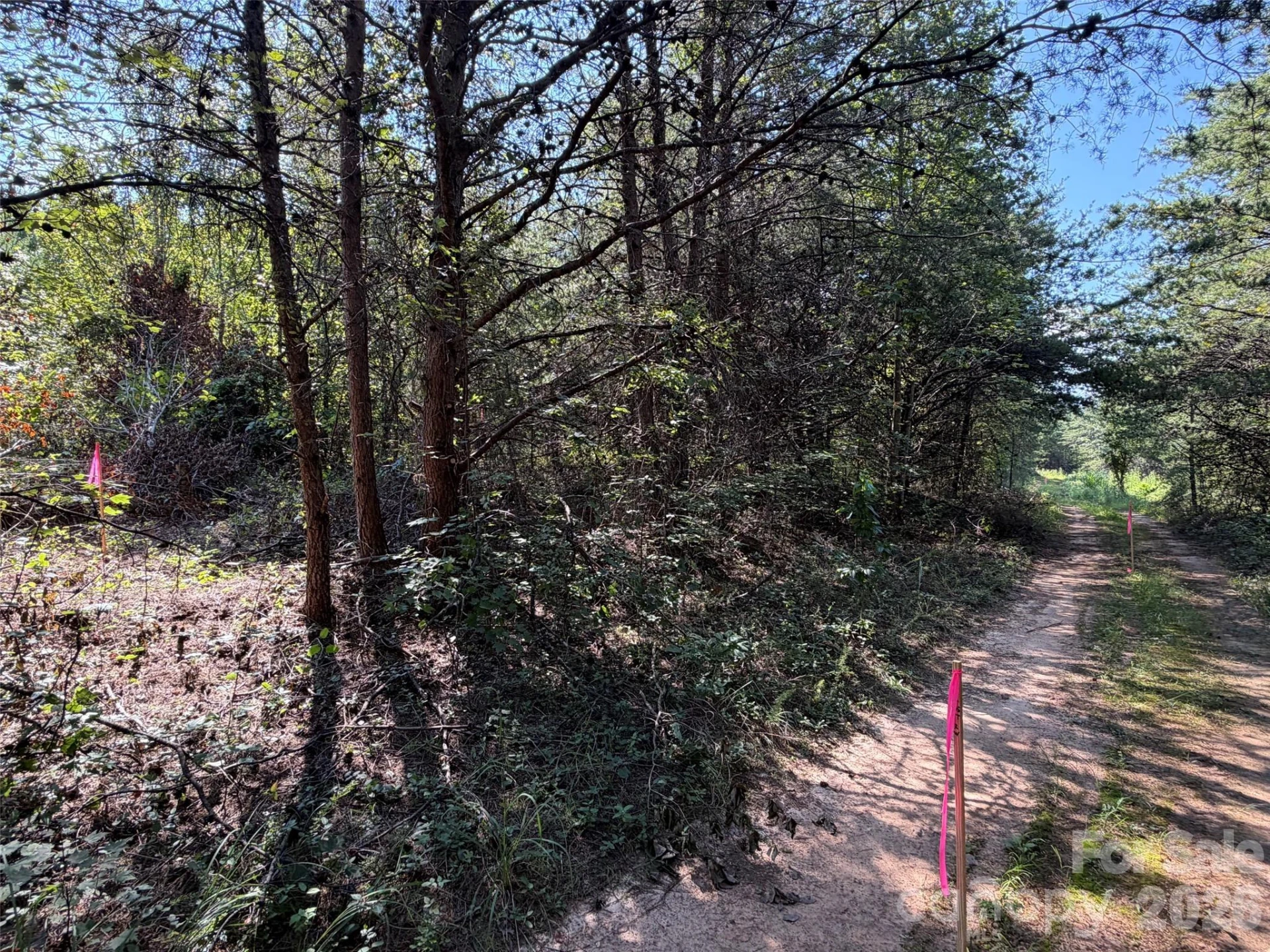 468 Southern Way - Photo 9