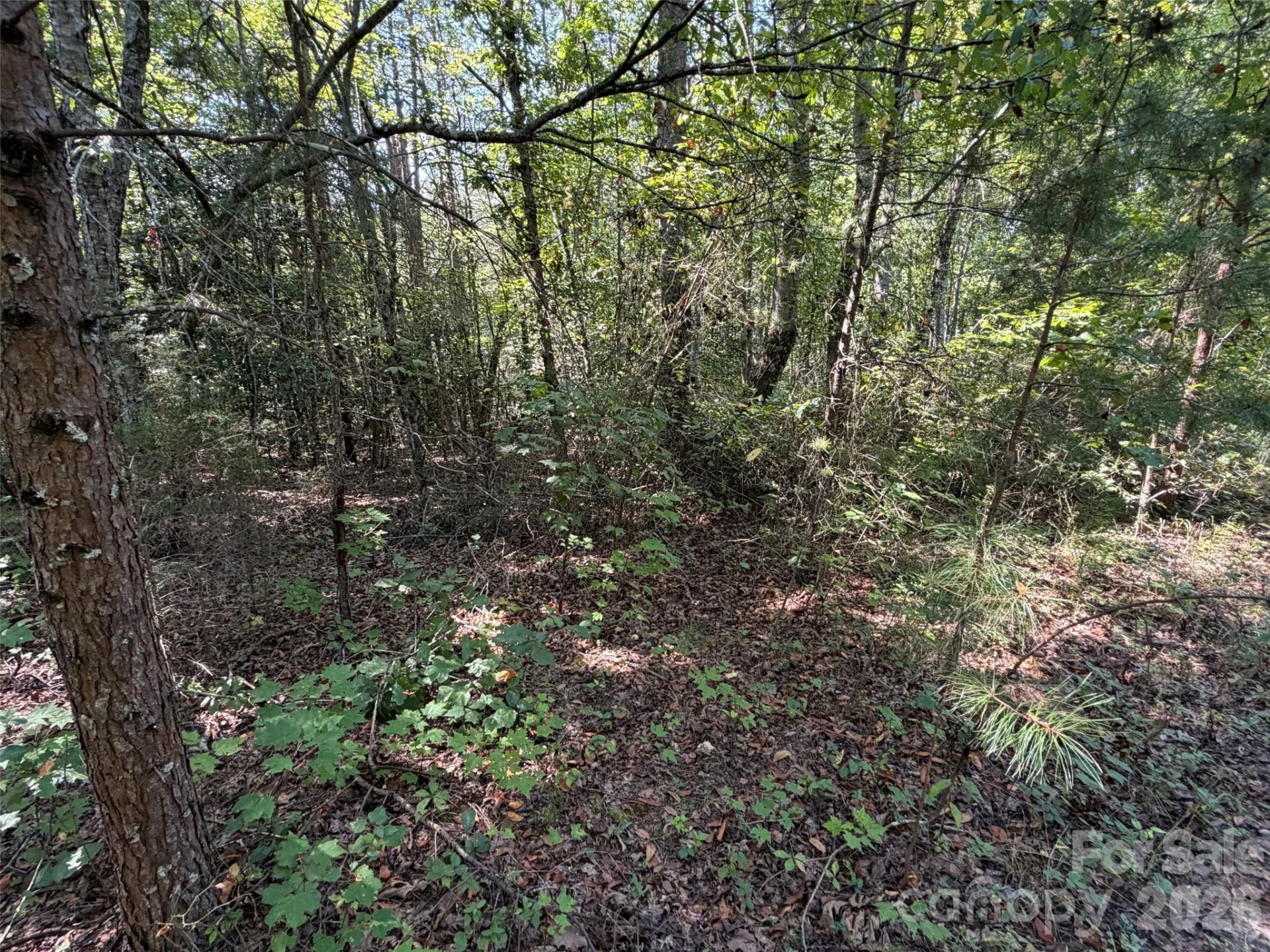 420 Southern Way - Photo 2