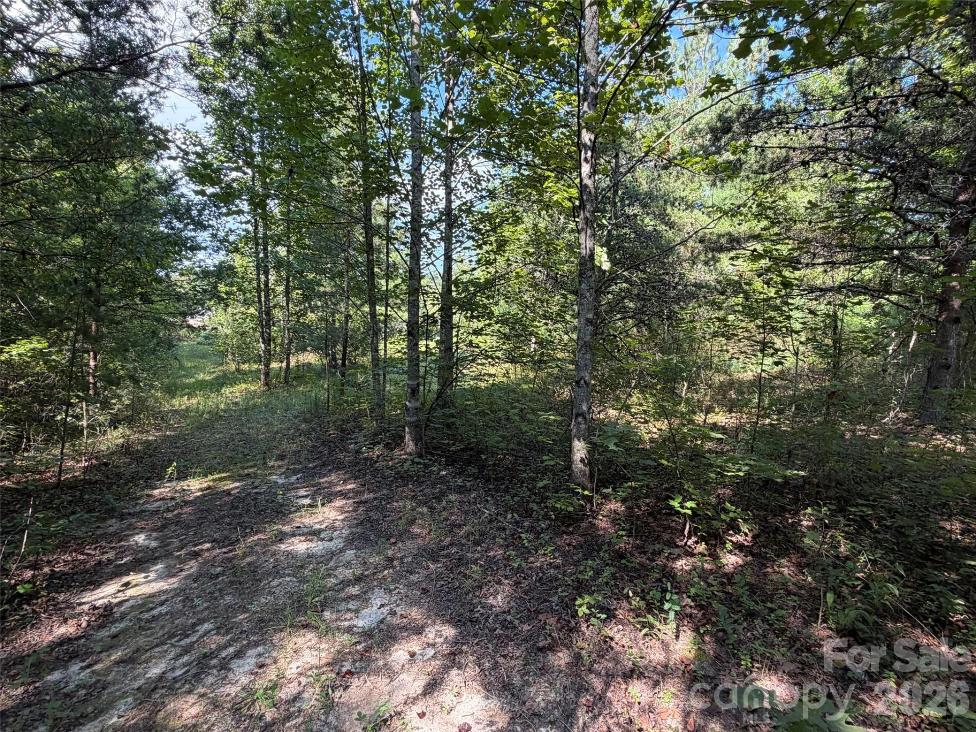 420 Southern Way - Photo 3