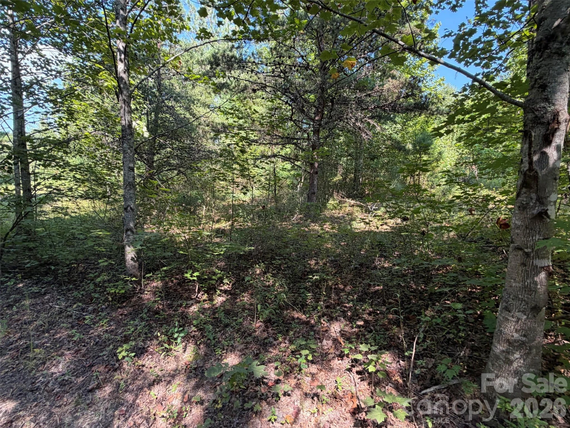 420 Southern Way - Photo 4