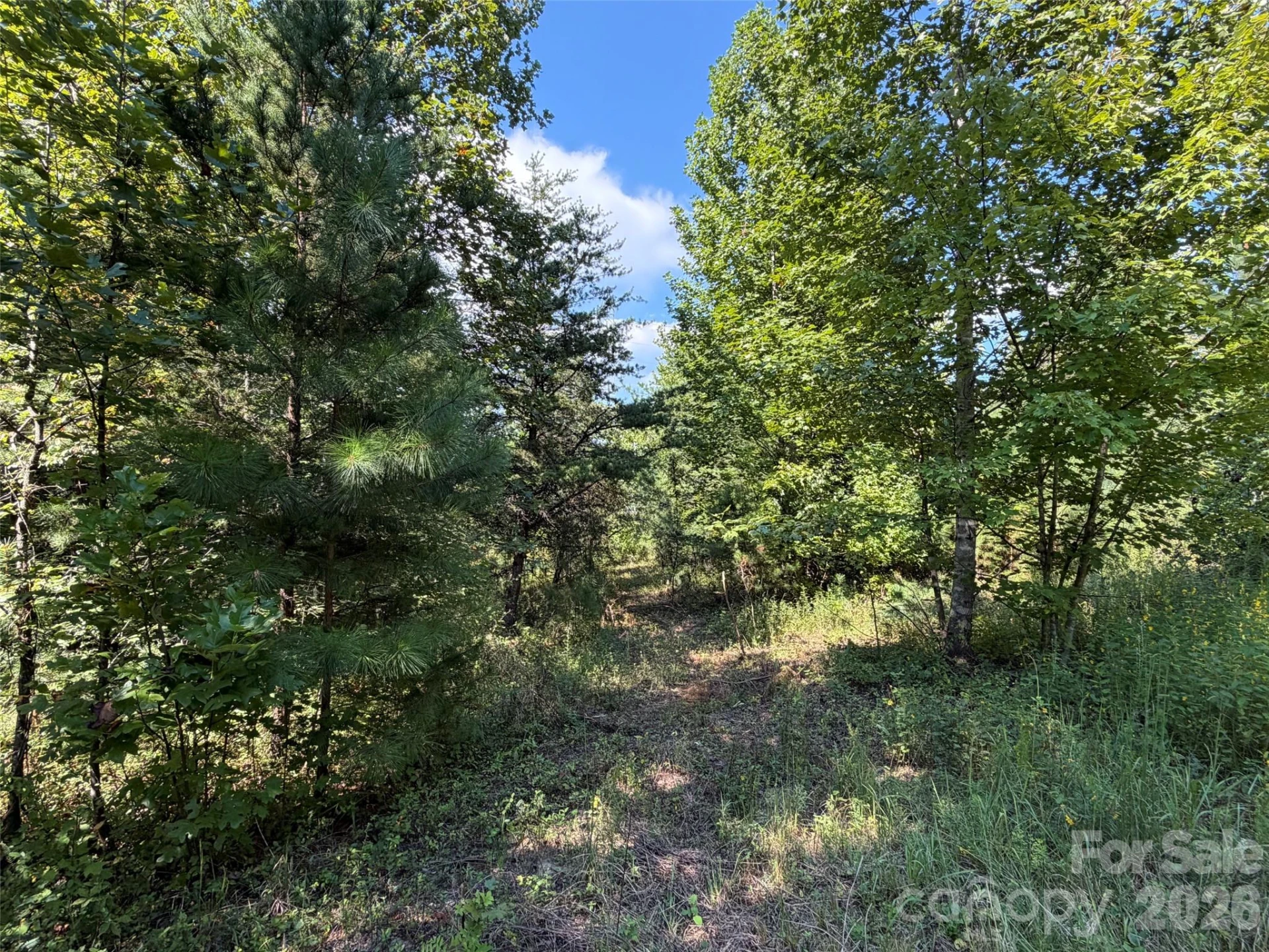 420 Southern Way - Photo 6