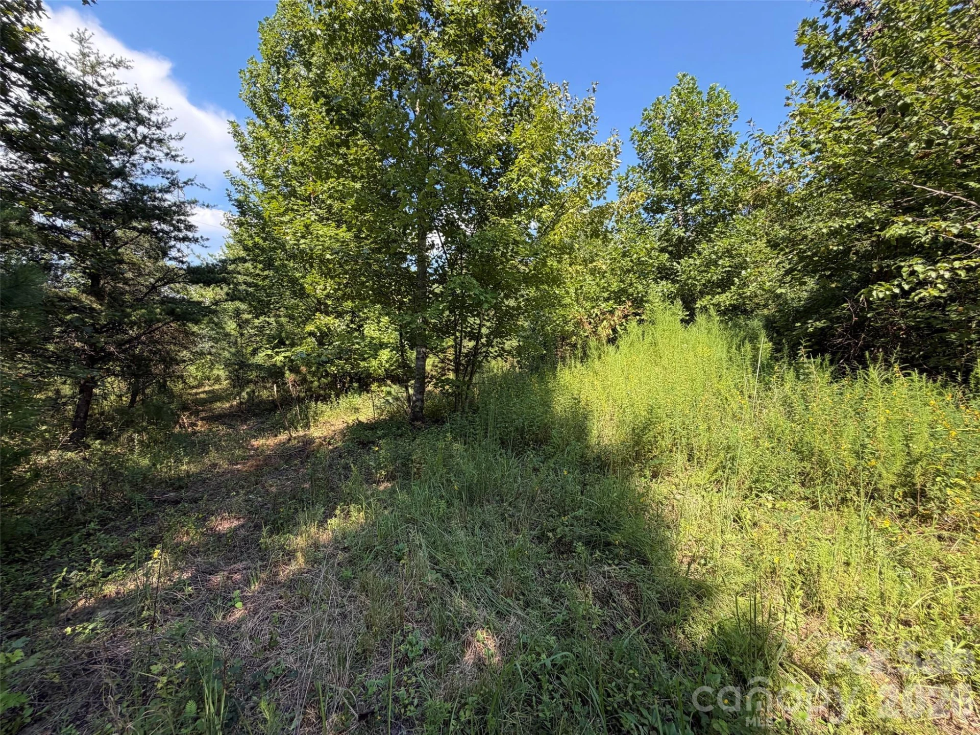 420 Southern Way - Photo 7
