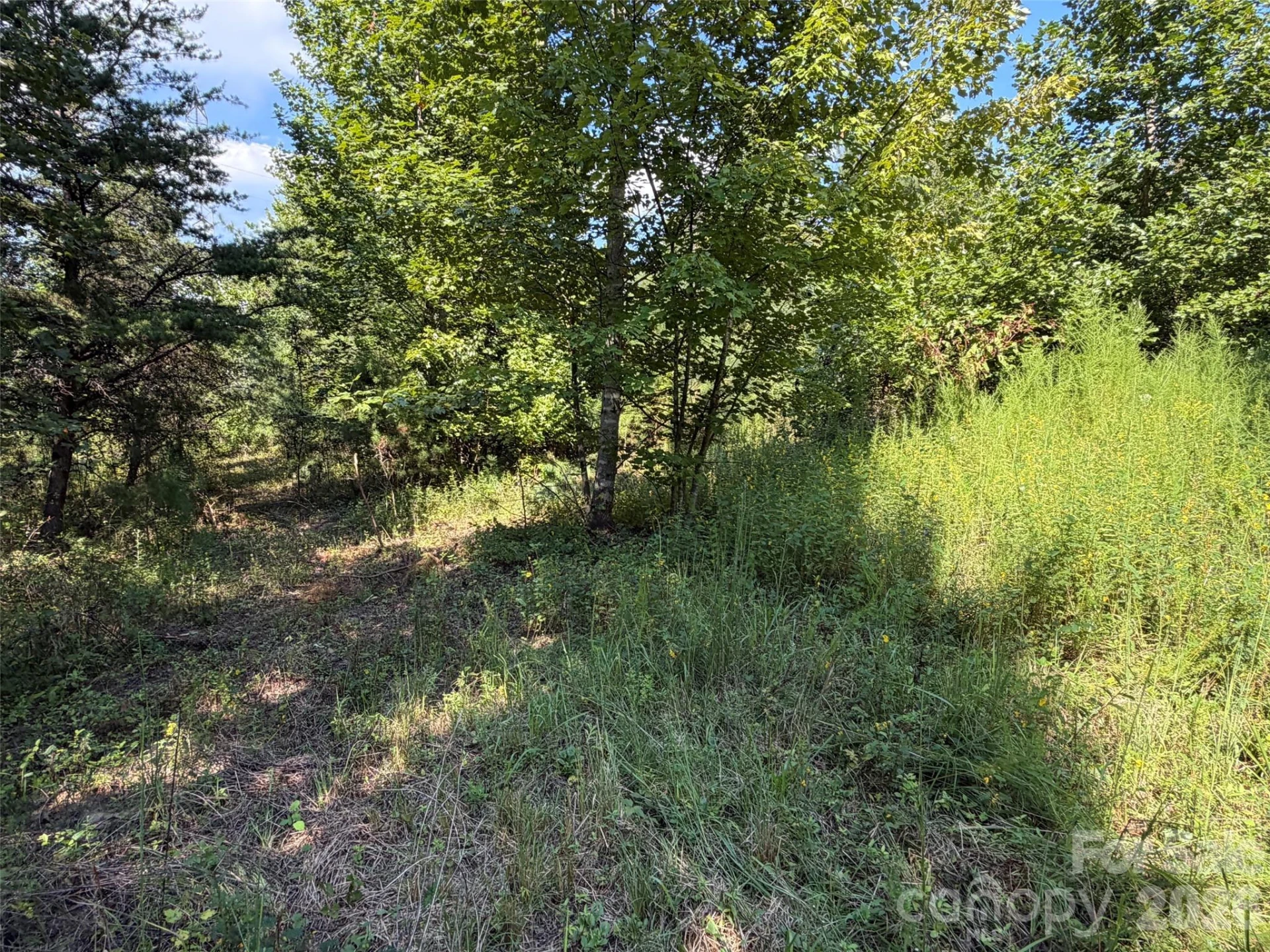 420 Southern Way - Photo 8