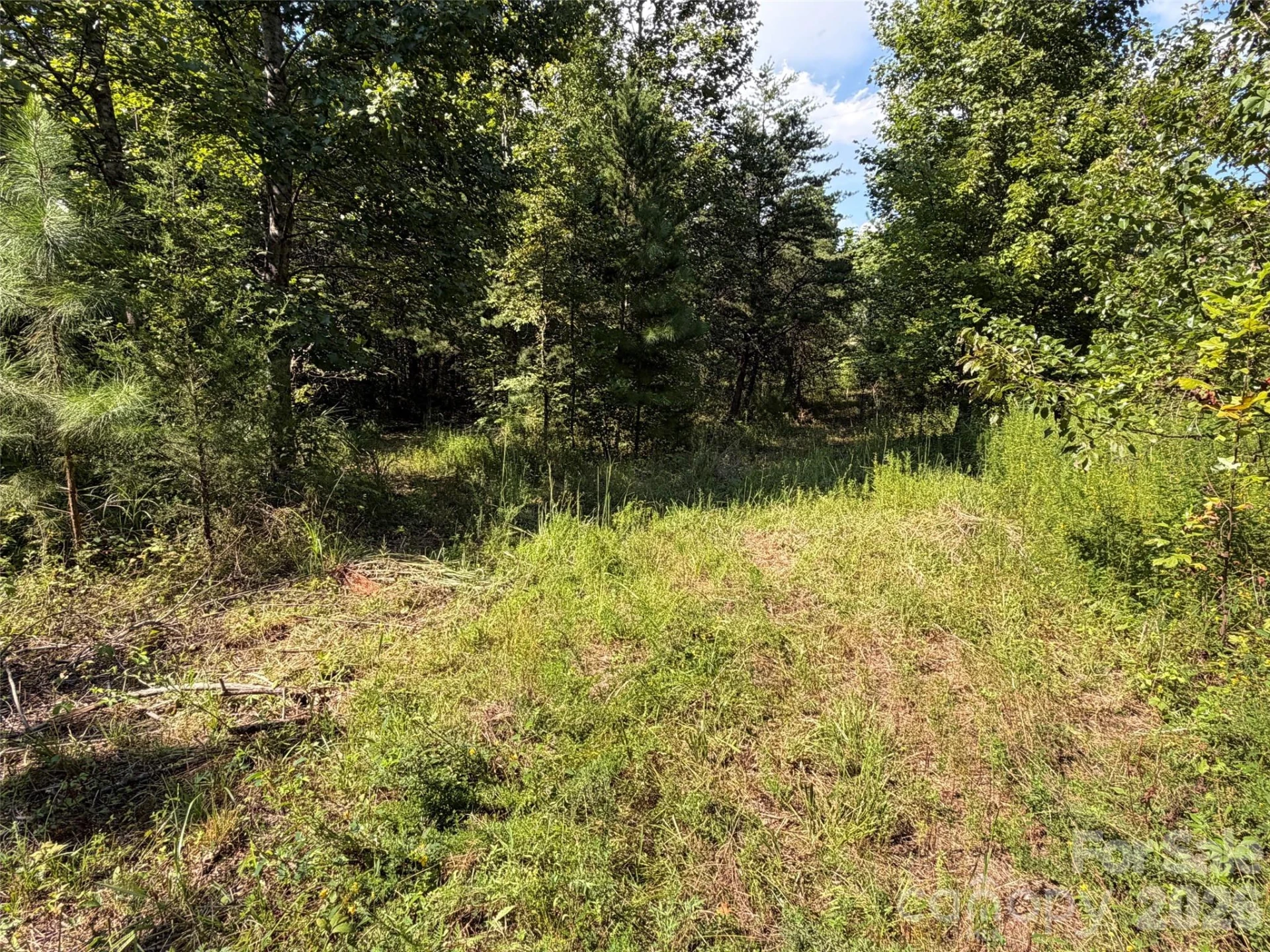 420 Southern Way - Photo 9