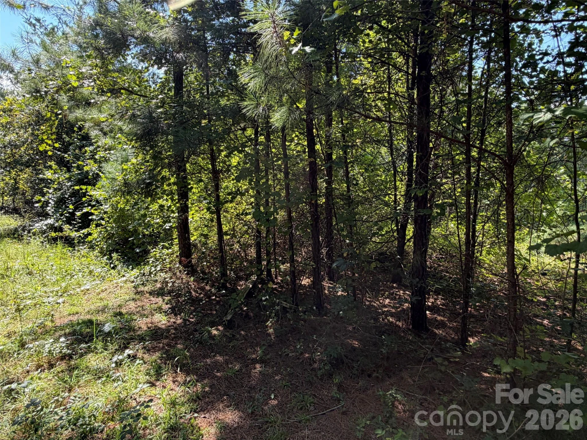 420 Southern Way - Photo 11
