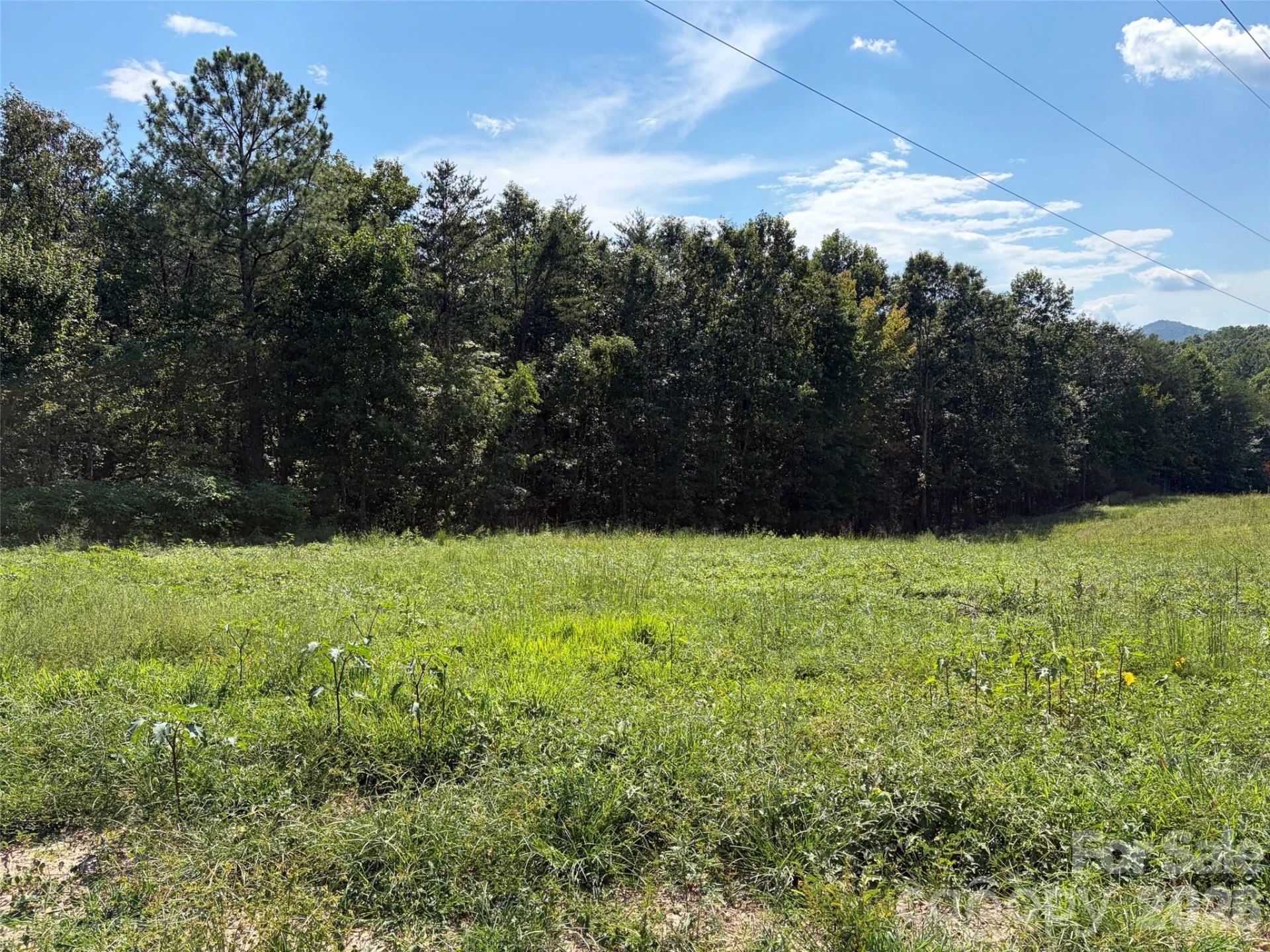 420 Southern Way - Photo 13
