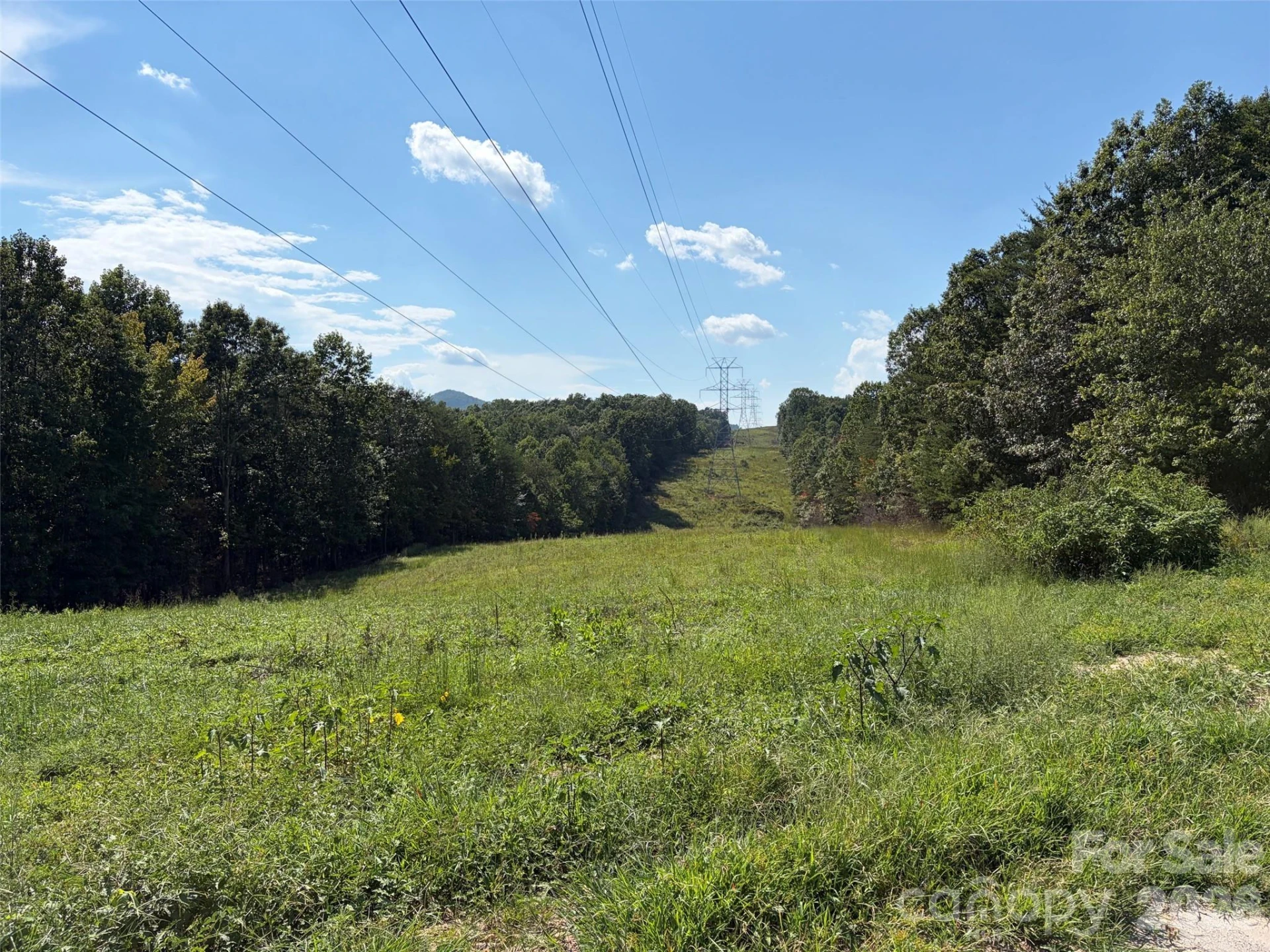 420 Southern Way - Photo 14