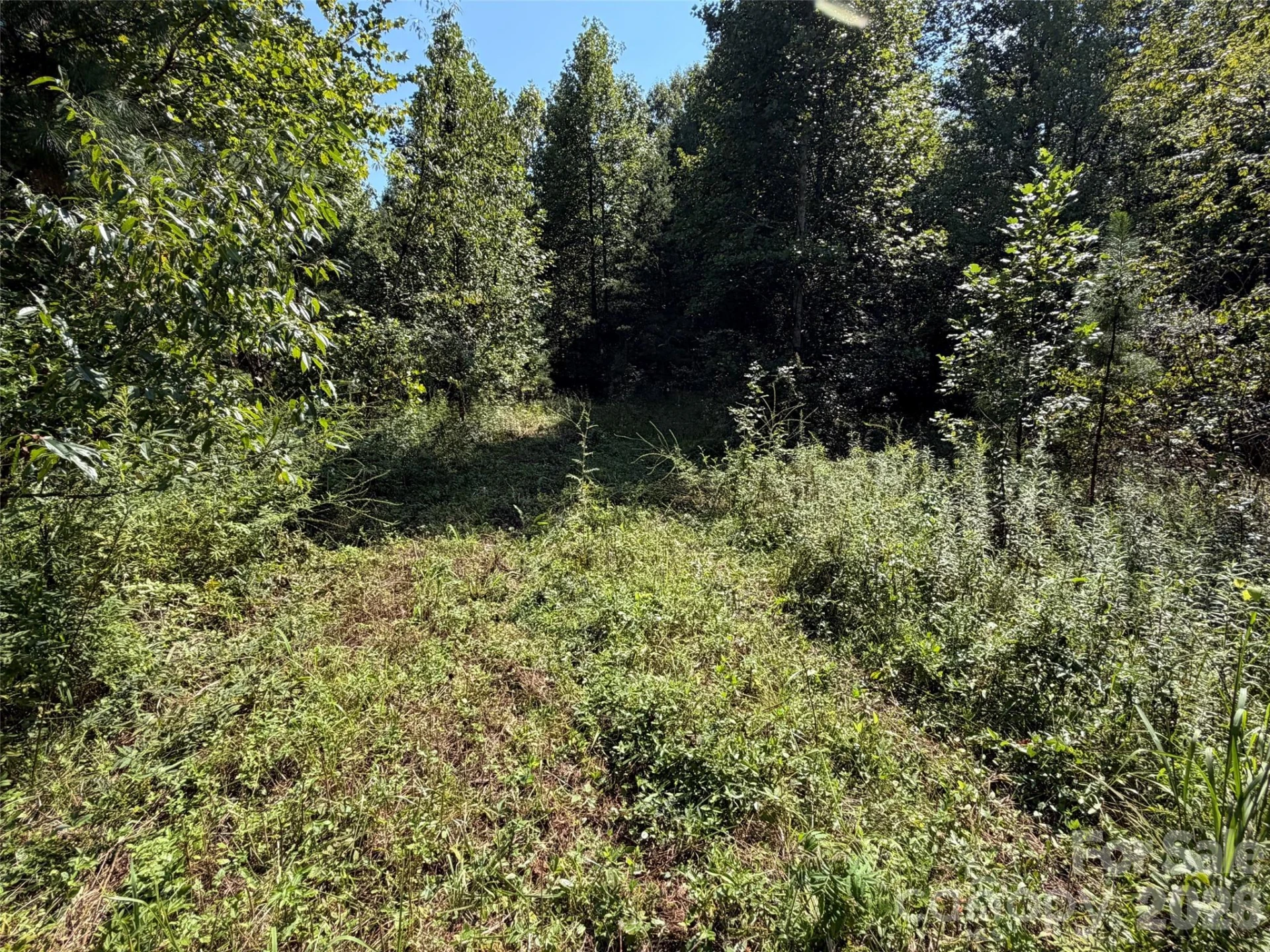 420 Southern Way - Photo 16