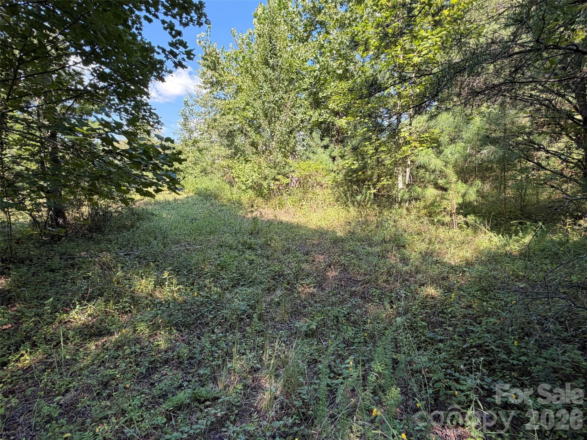 420 Southern Way - Photo 17