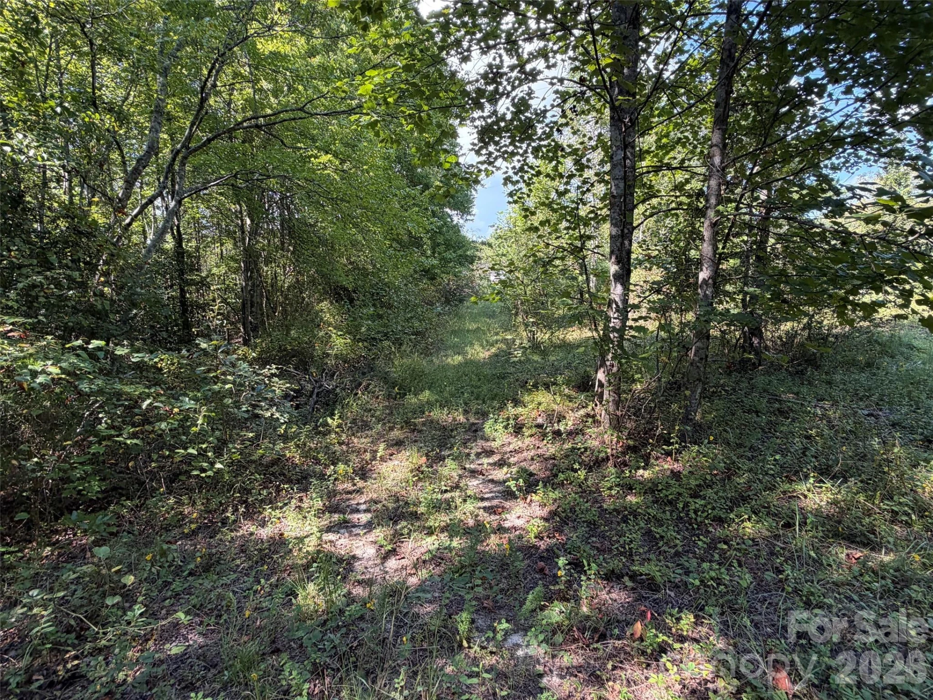 420 Southern Way - Photo 18