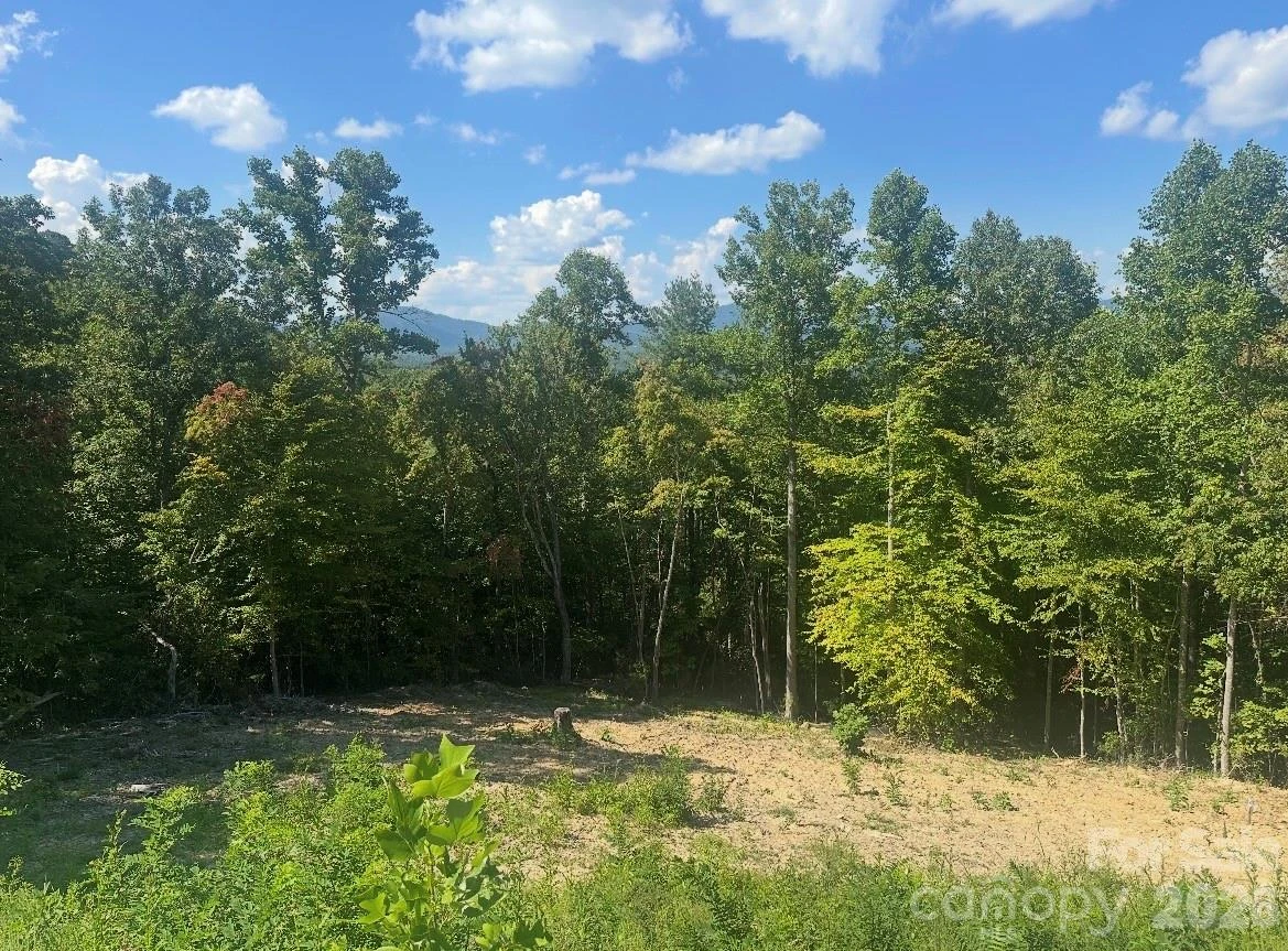 117 Sovereign Lane - Photo 9