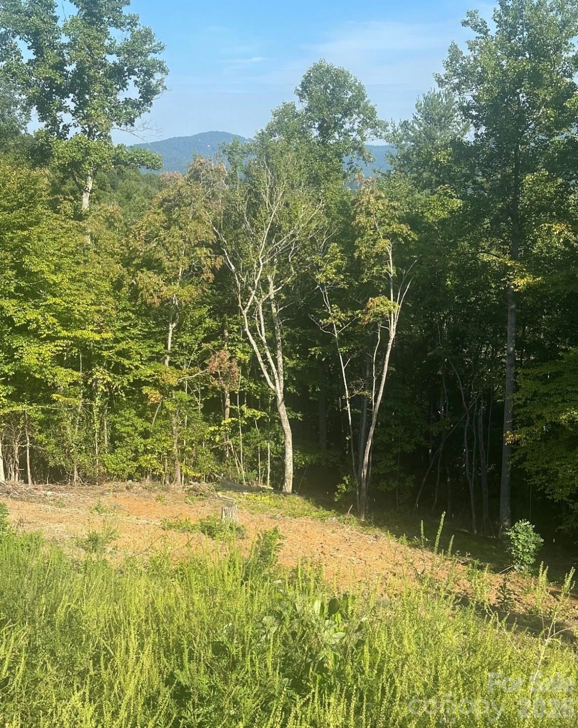 117 Sovereign Lane - Photo 10