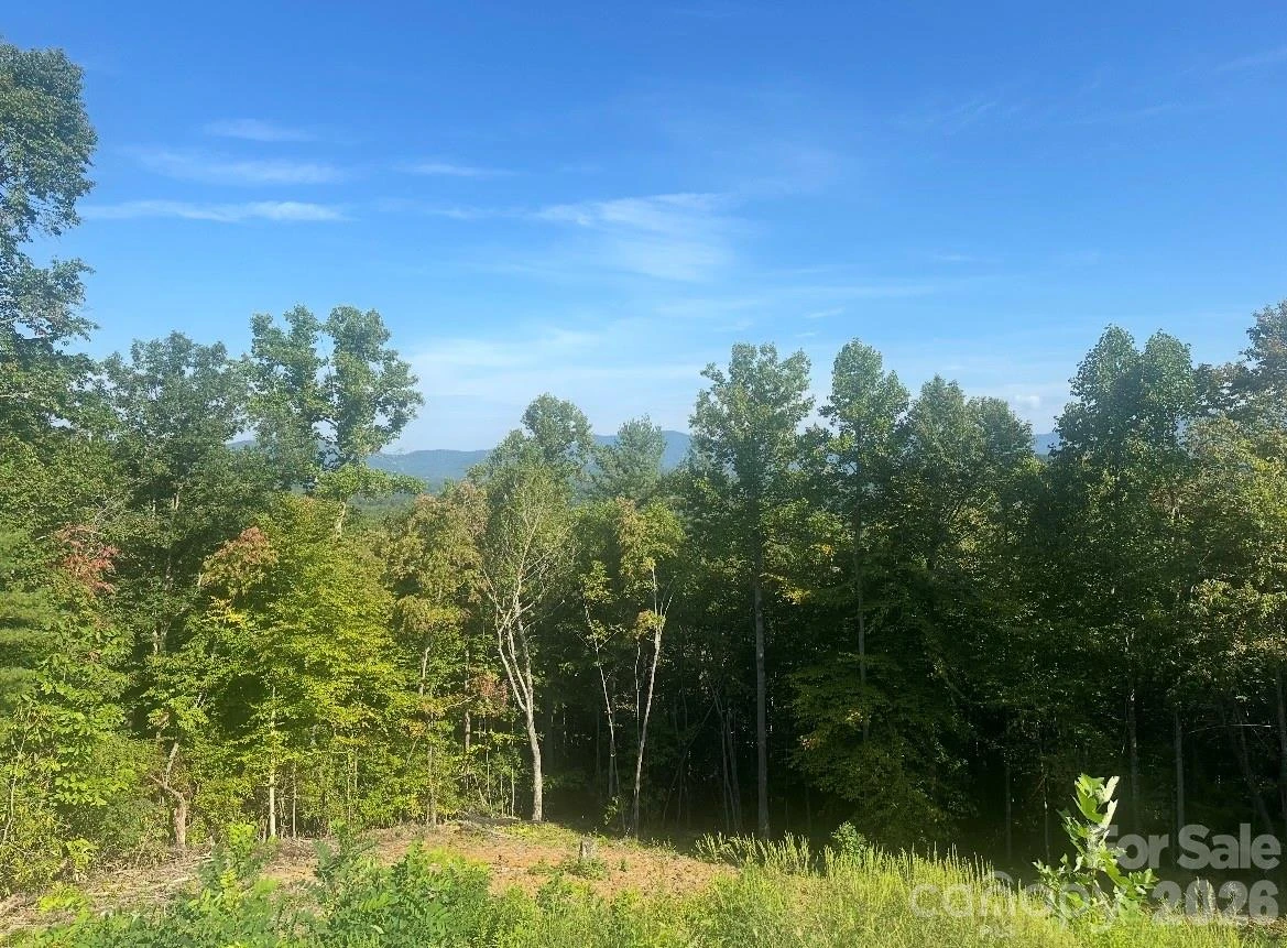 117 Sovereign Lane - Photo 11