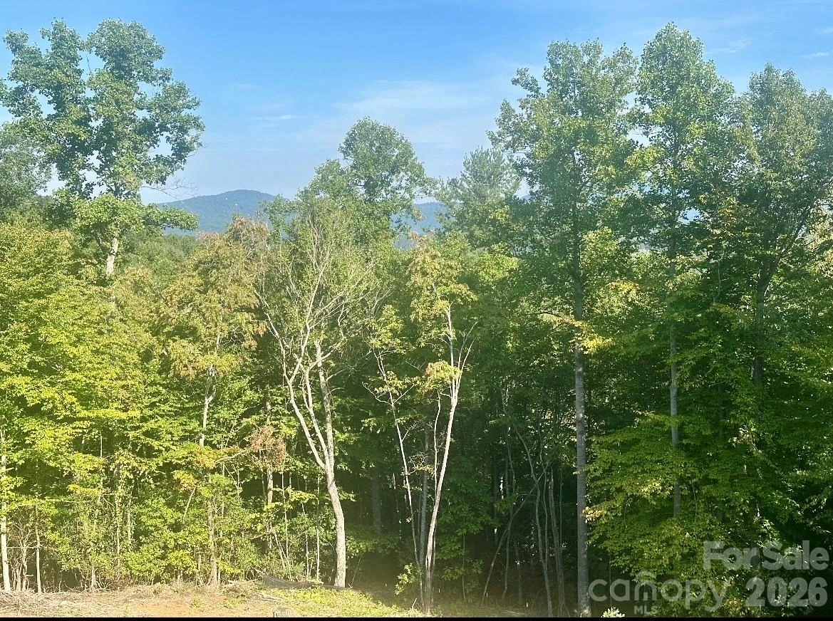 117 Sovereign Lane - Photo 12