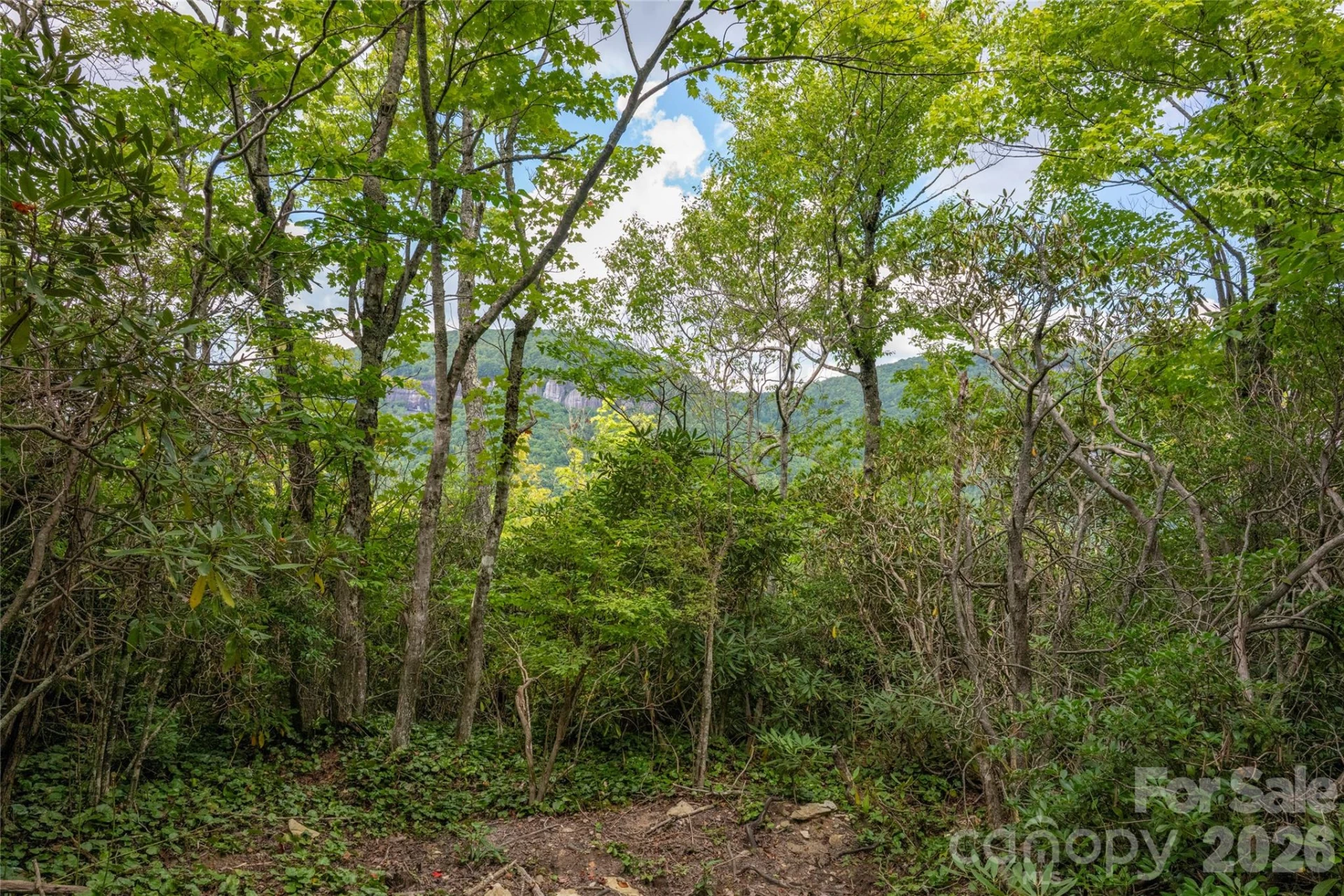 916 Meadow Ridge Drive - Photo 3
