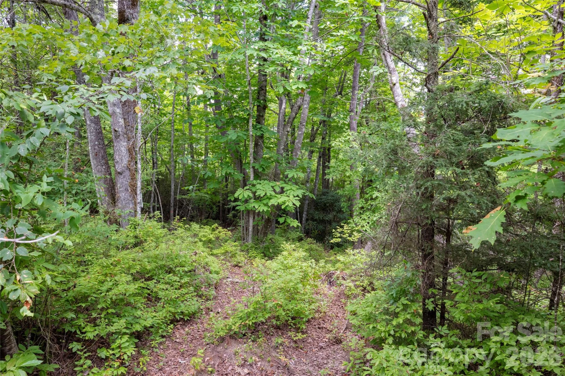916 Meadow Ridge Drive - Photo 4