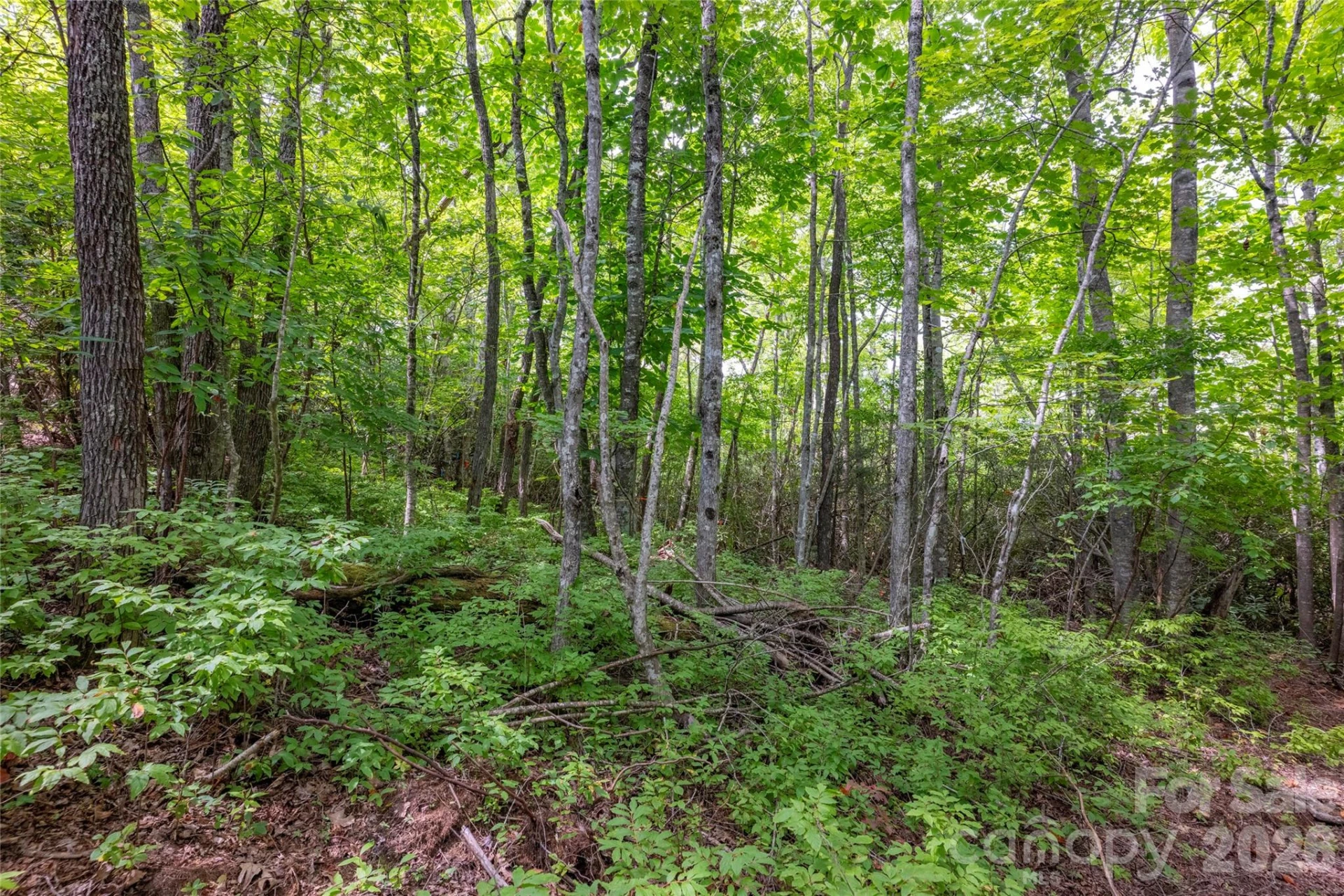 916 Meadow Ridge Drive - Photo 5