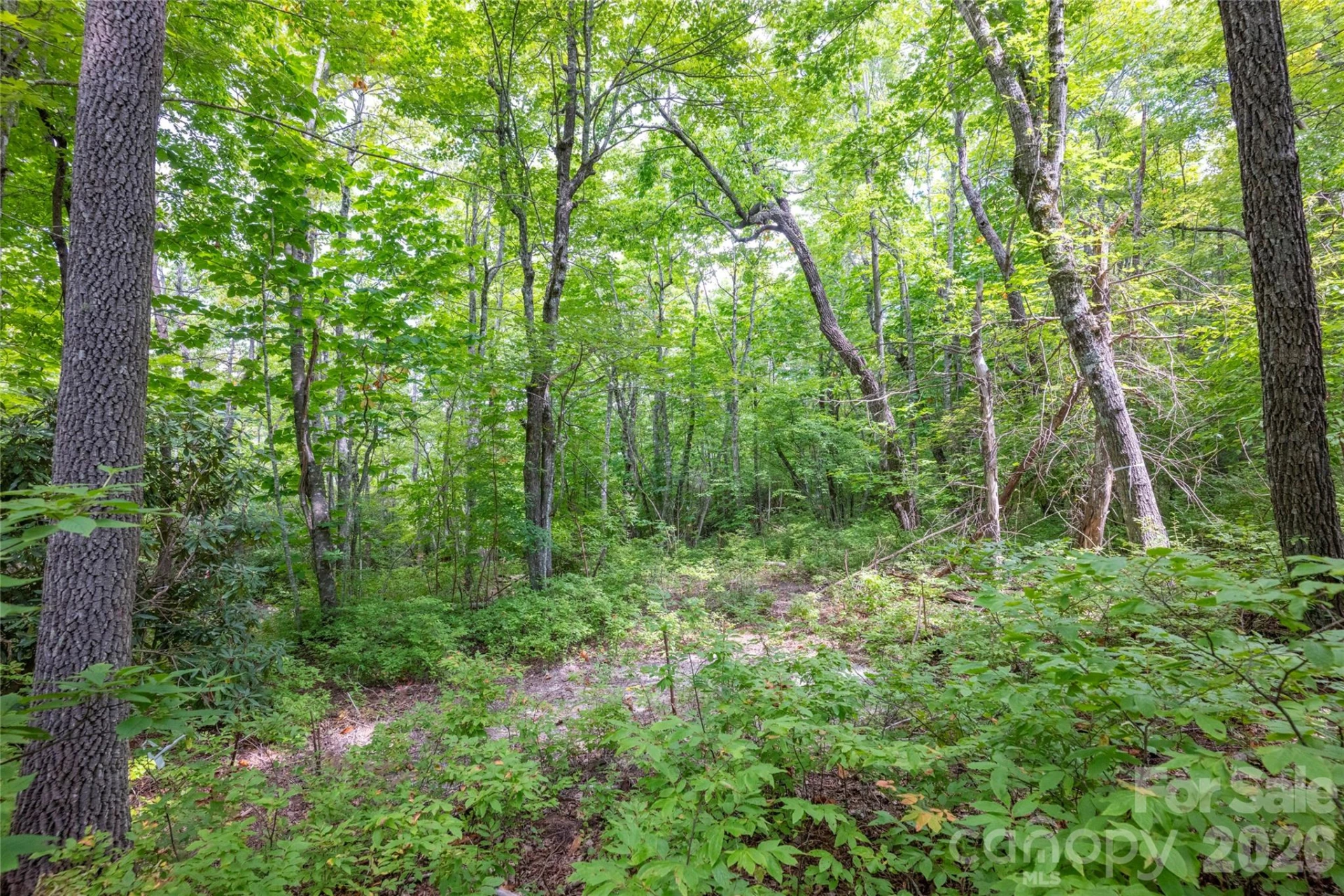 916 Meadow Ridge Drive - Photo 6