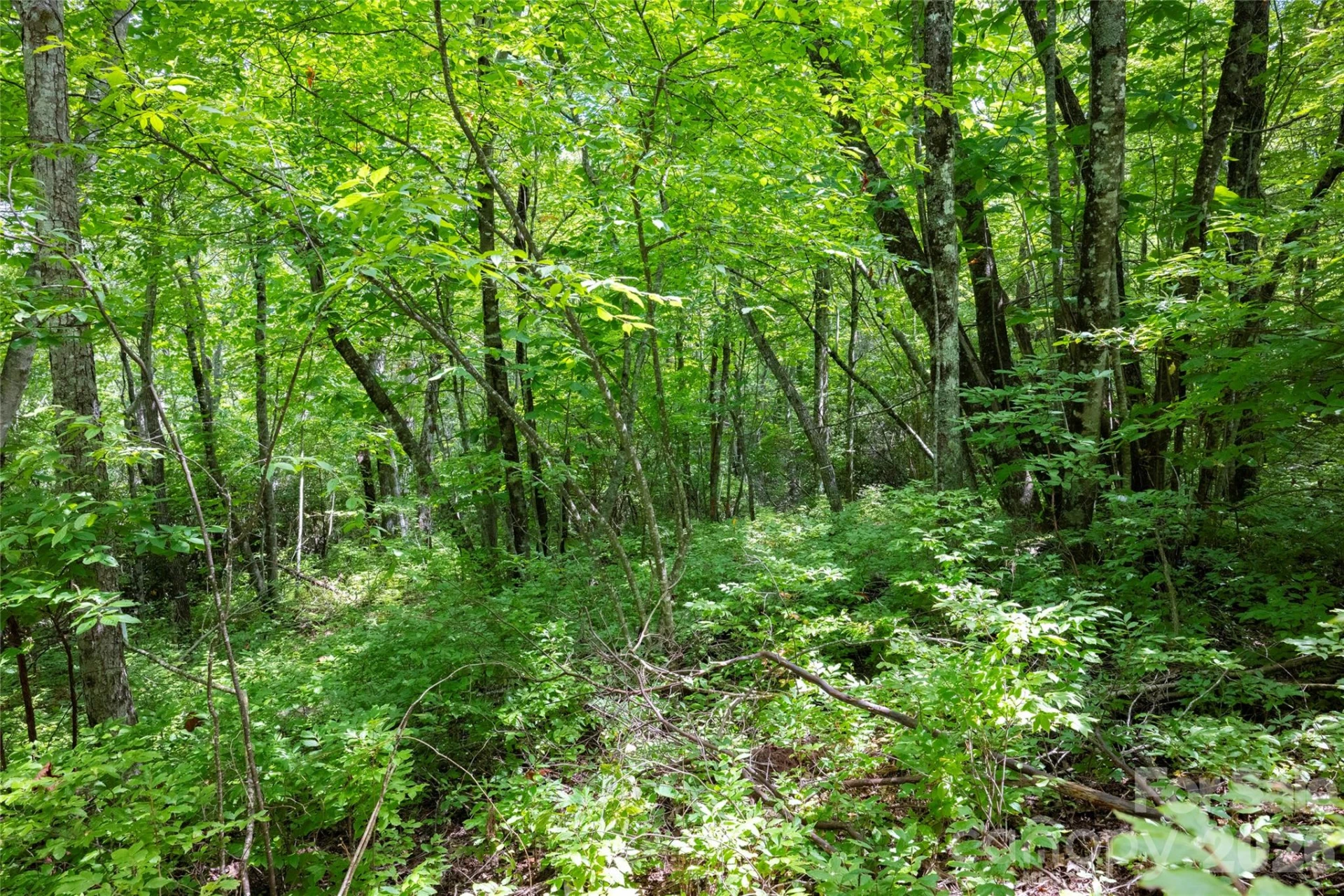 916 Meadow Ridge Drive - Photo 8