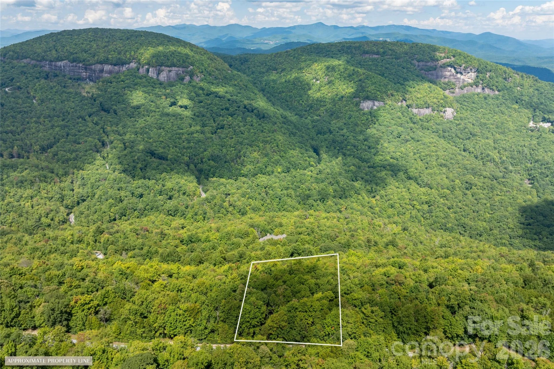 916 Meadow Ridge Drive - Photo 9