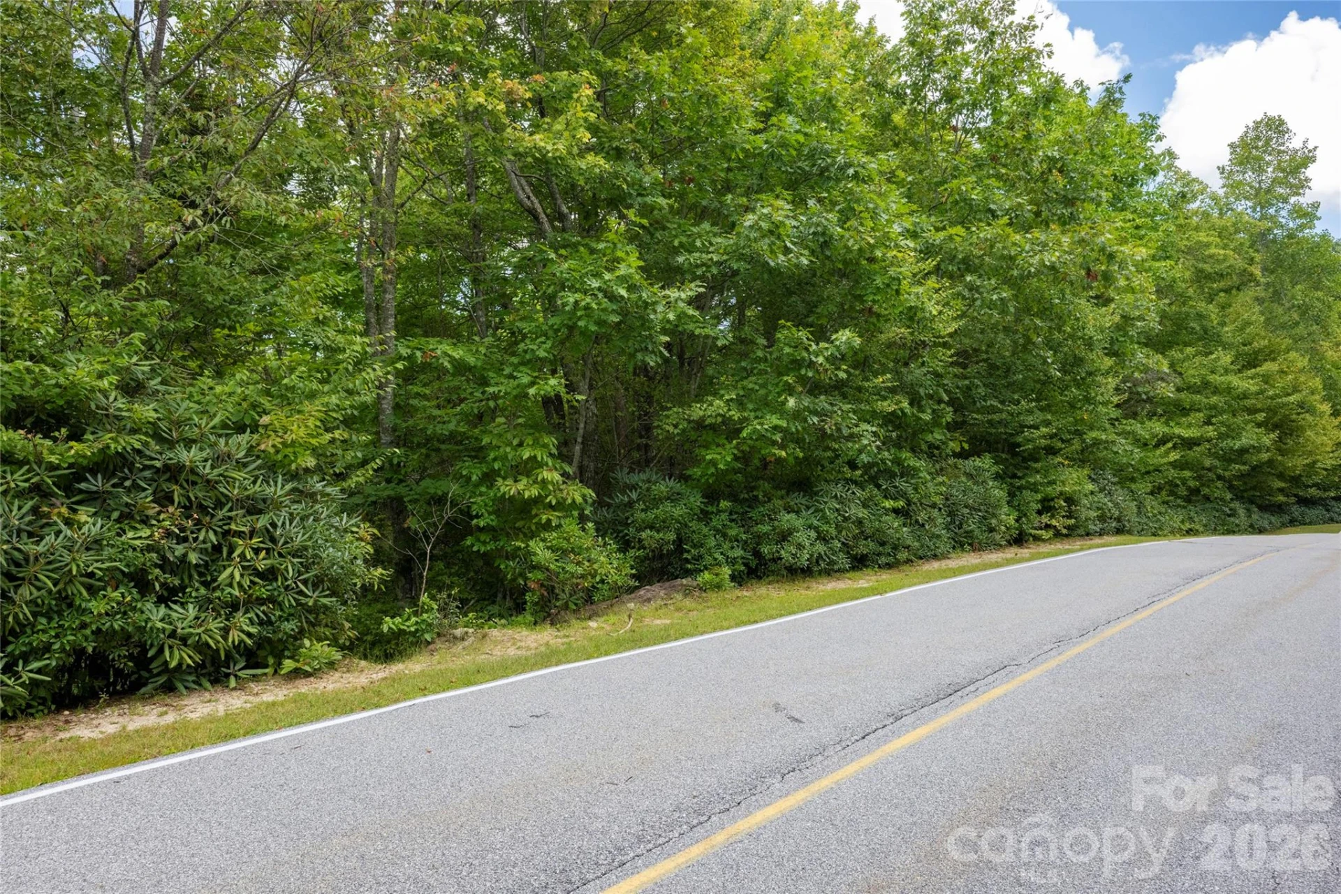916 Meadow Ridge Drive - Photo 12