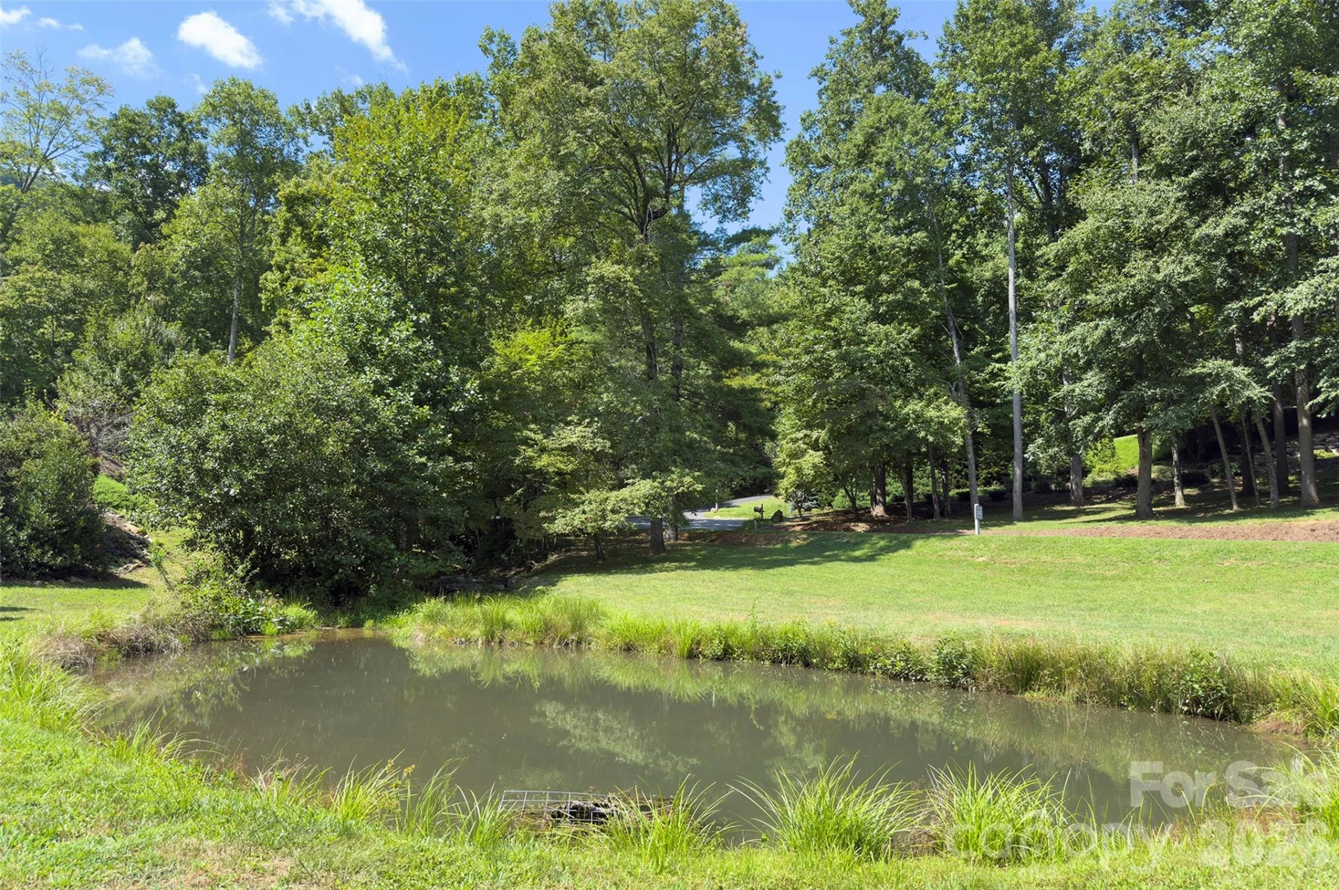 98 Soapstone Creek Drive - Photo 41