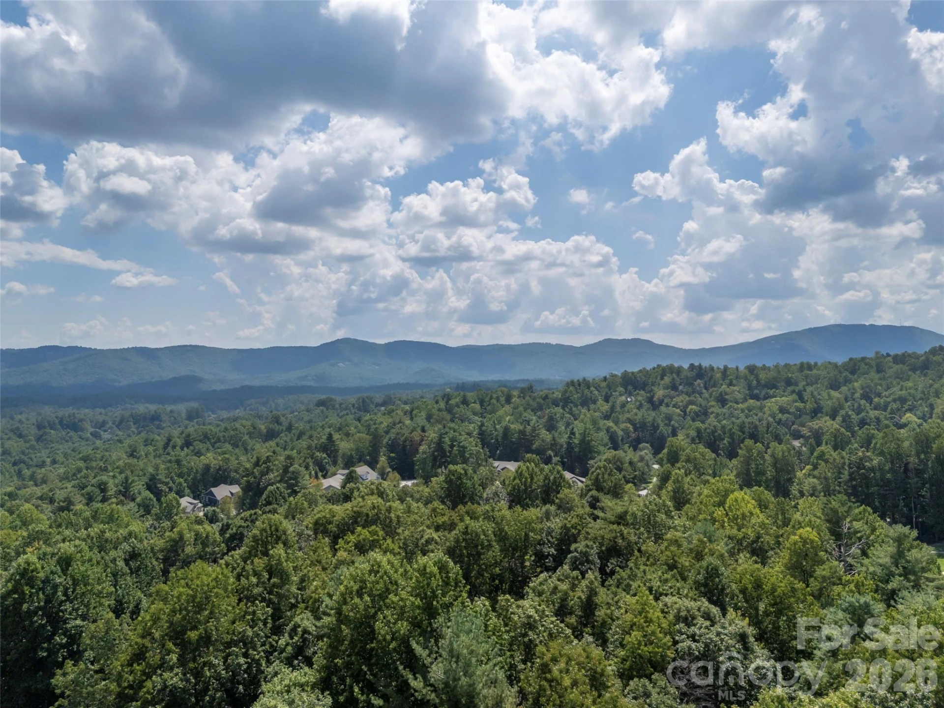 1003 Indian Cave Road - Photo 37