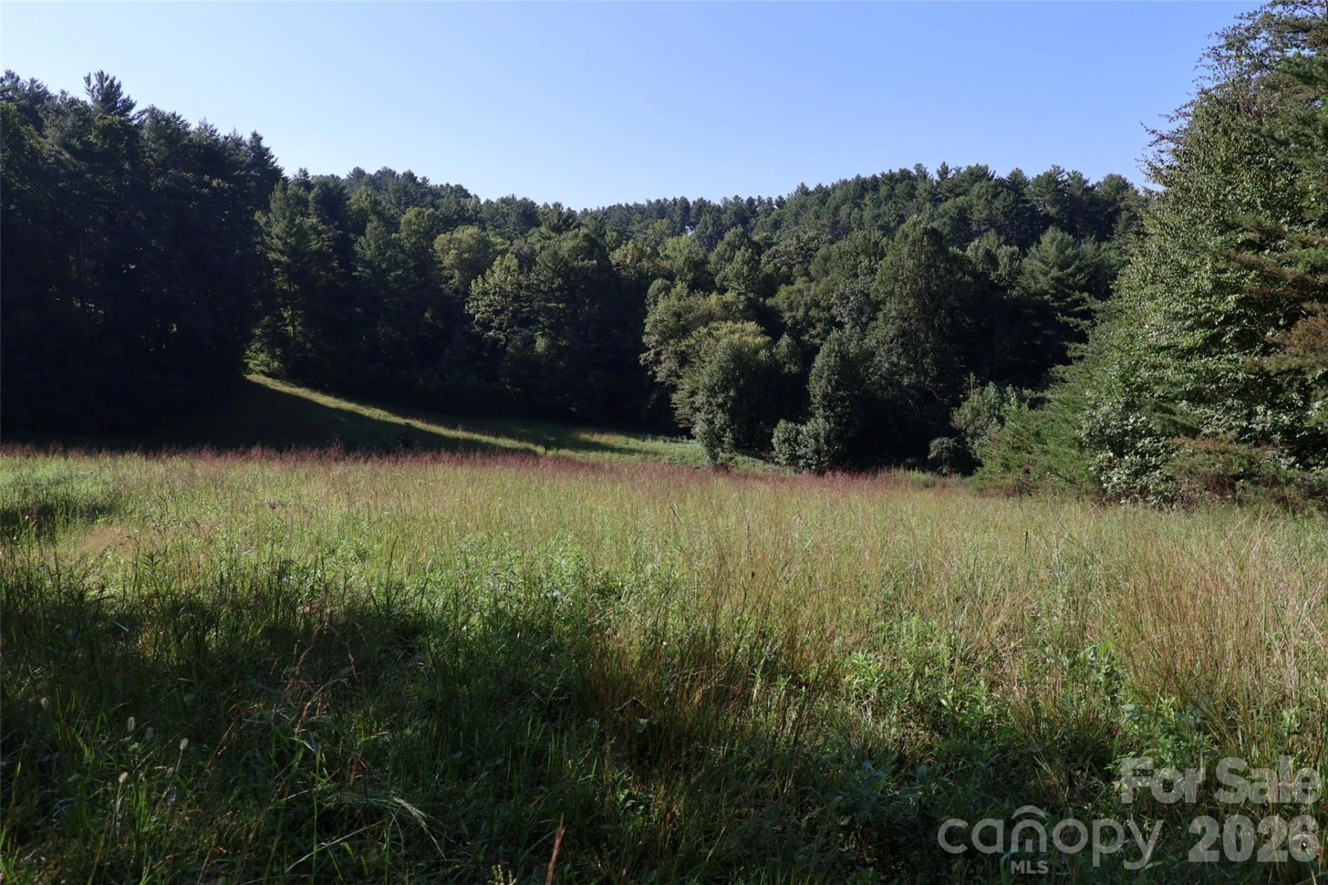 99999 Dream Valley Drive - Photo 6