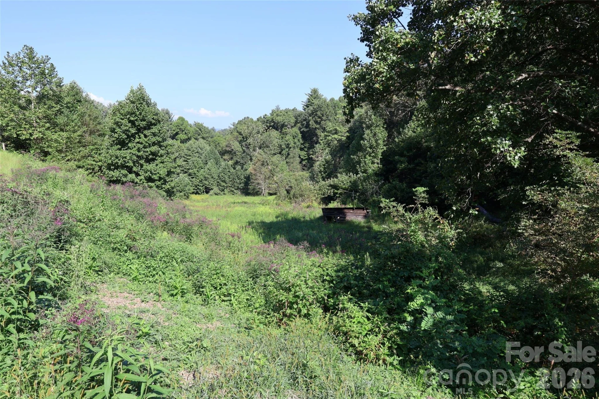 99999 Dream Valley Drive - Photo 7