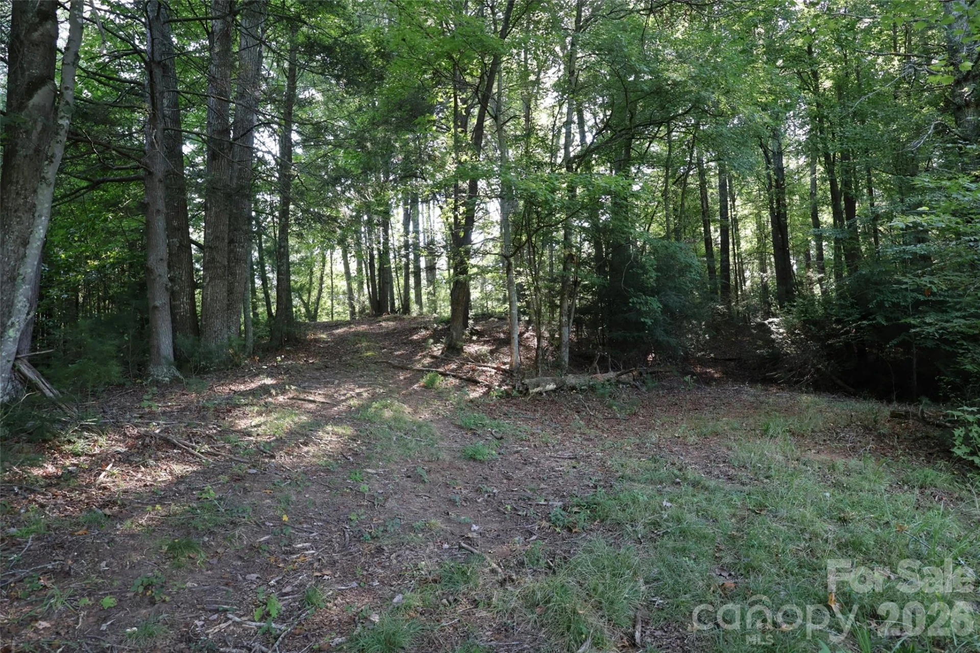 99999 Dream Valley Drive - Photo 8