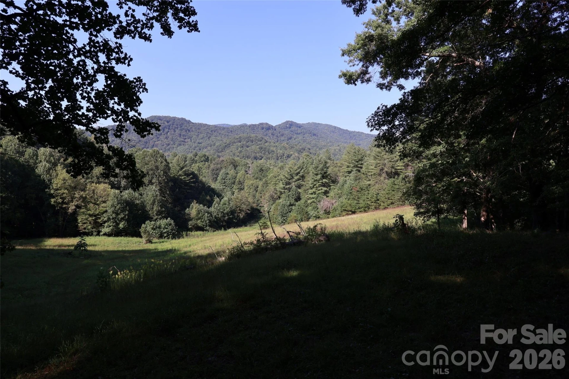 99999 Dream Valley Drive - Photo 9
